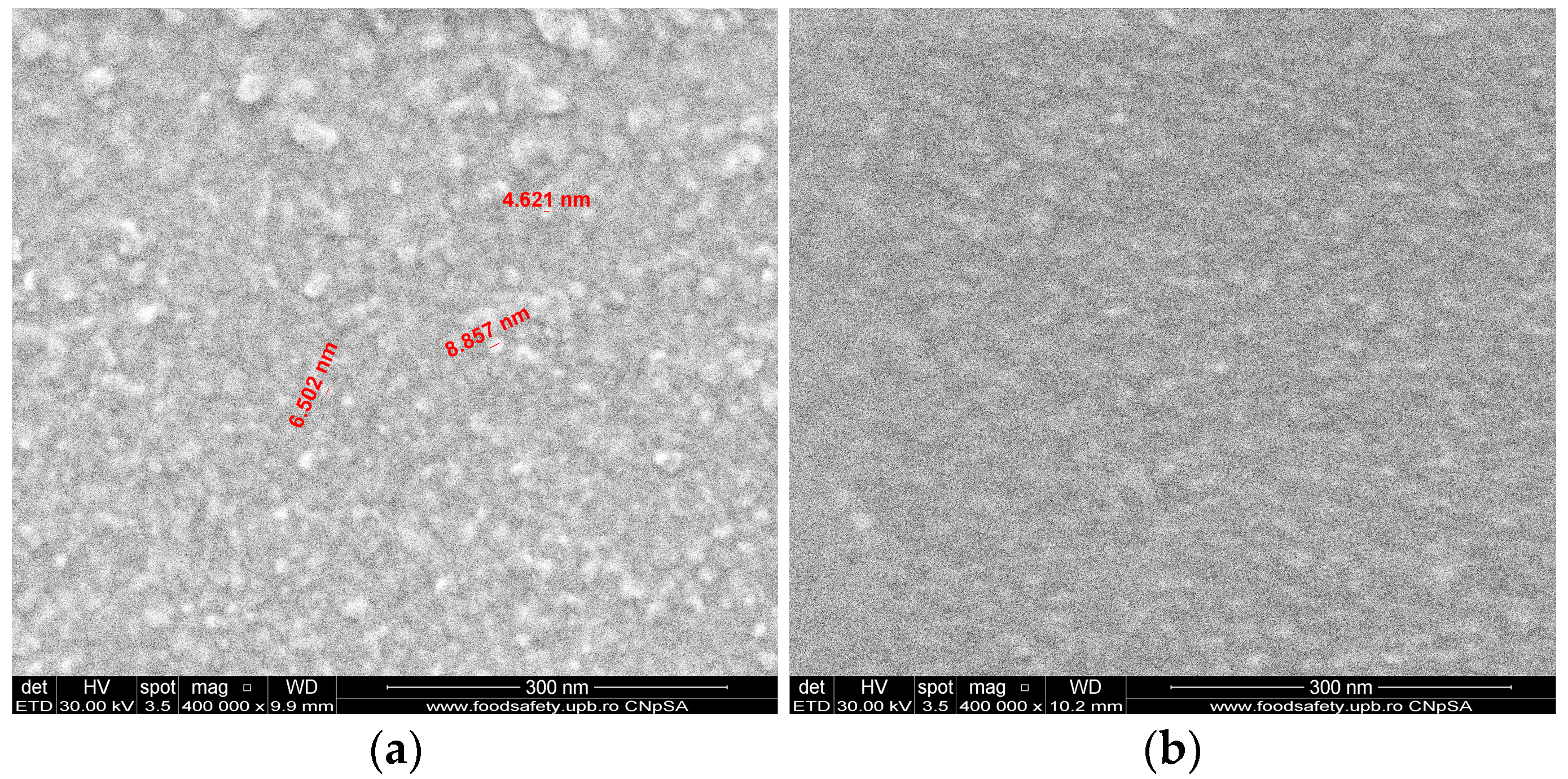 Symmetry 16 00245 g003