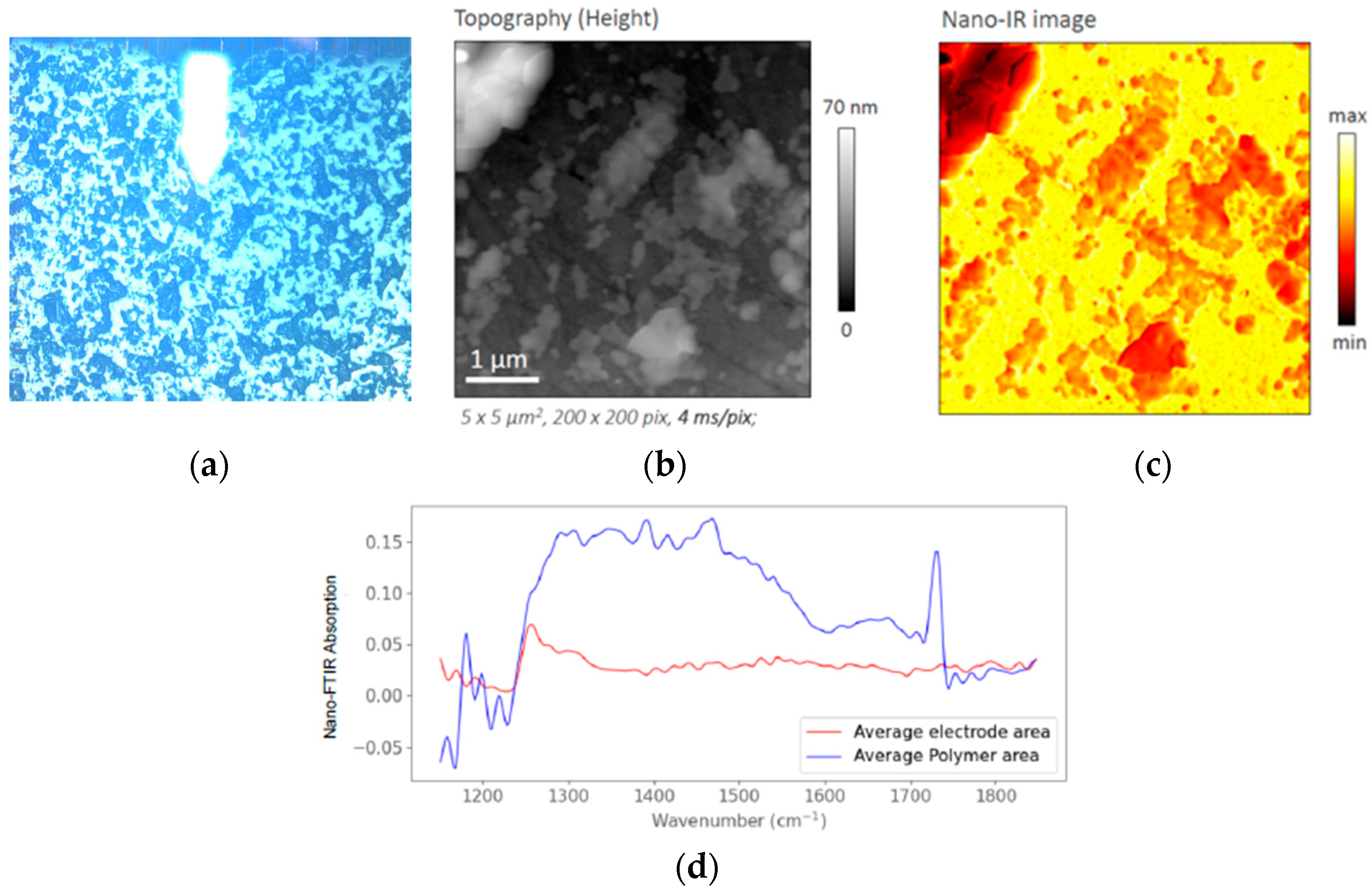 Symmetry 16 00245 g005