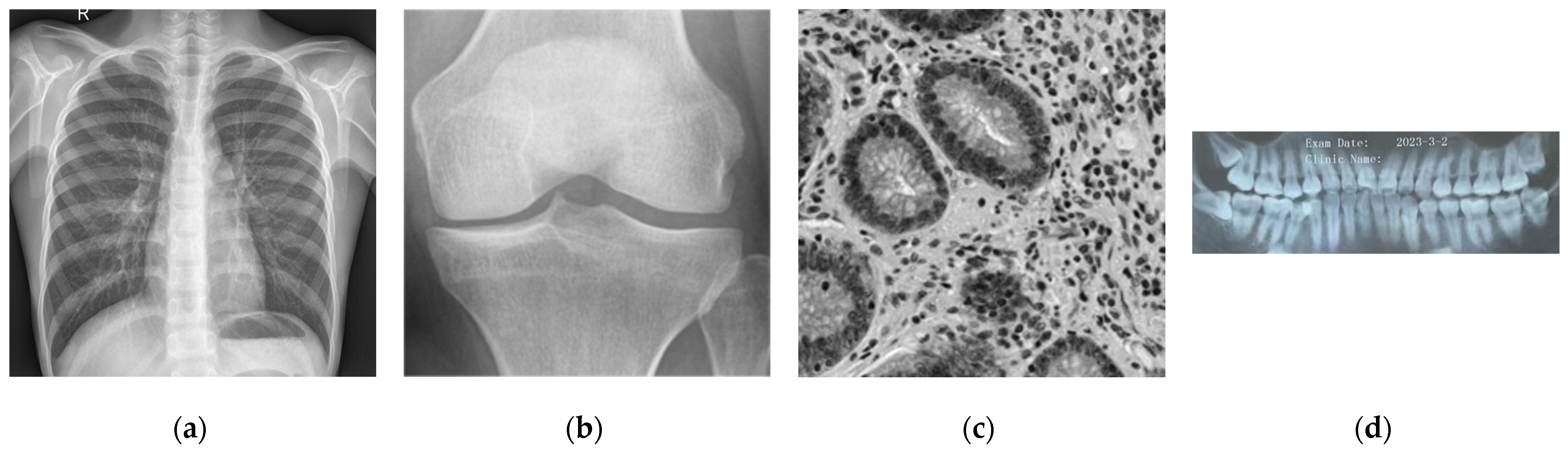 Symmetry 16 00258 g002