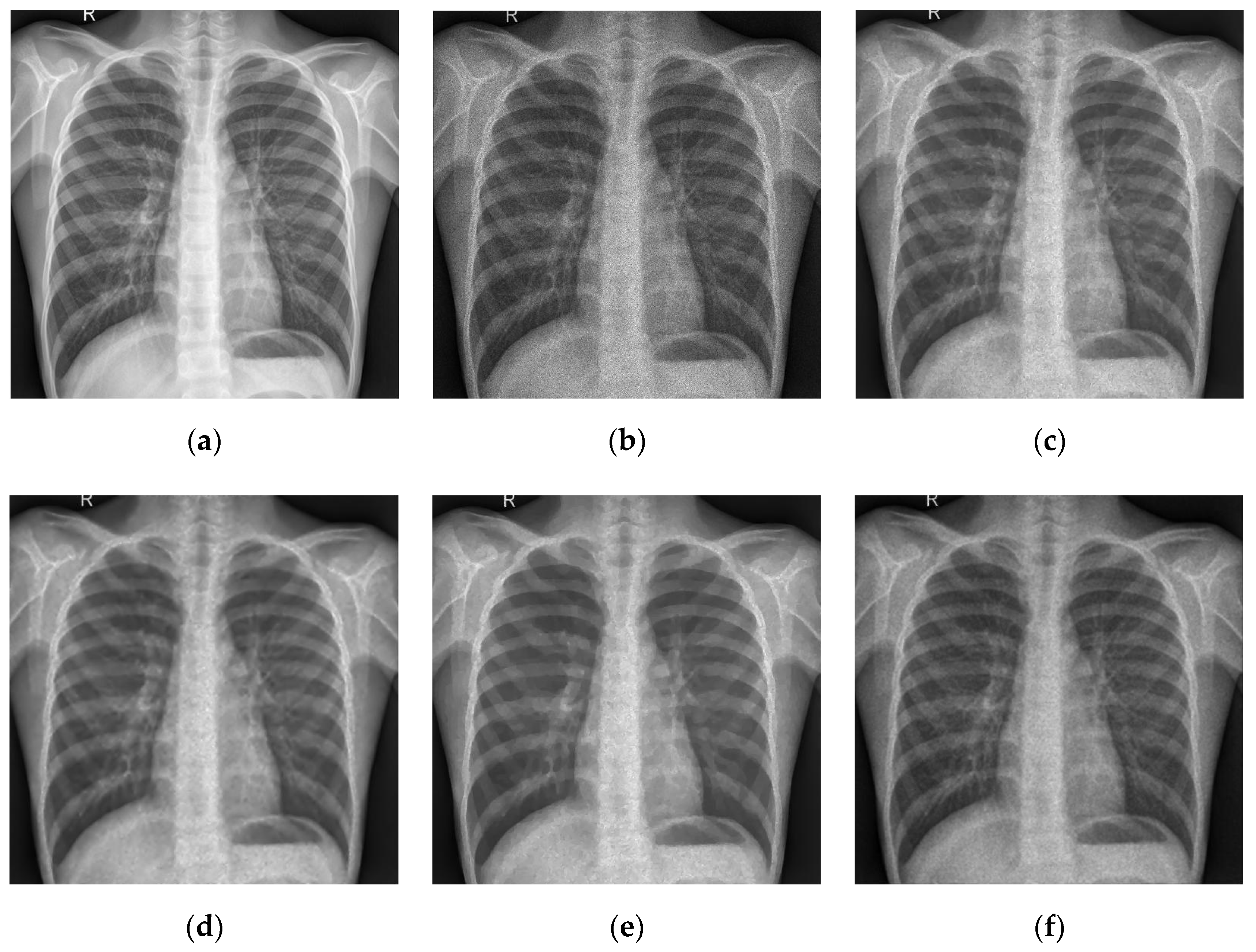 Symmetry 16 00258 g009