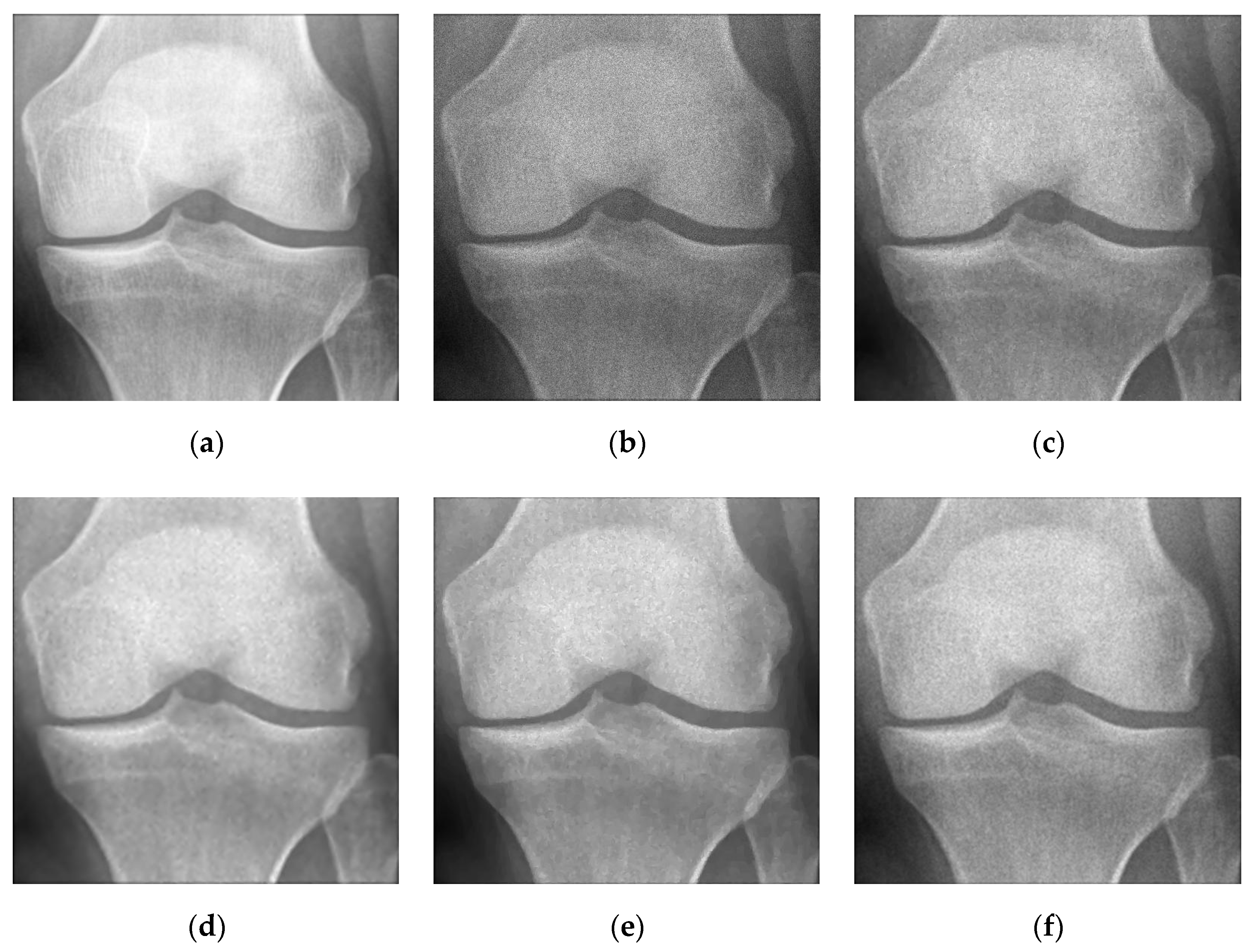Symmetry 16 00258 g010