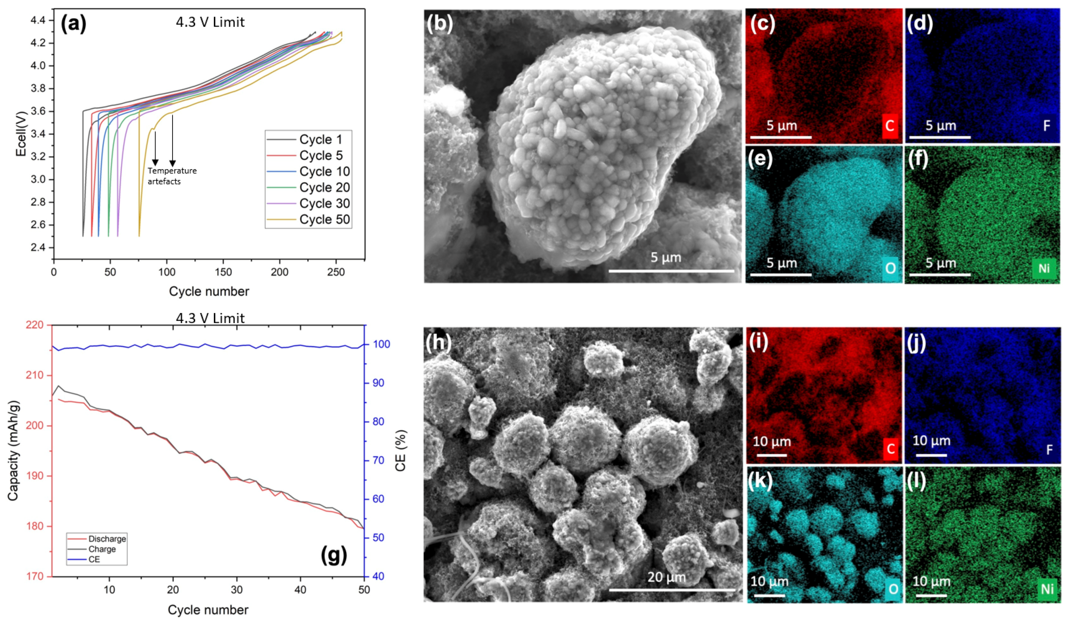 Symmetry 16 00301 g001