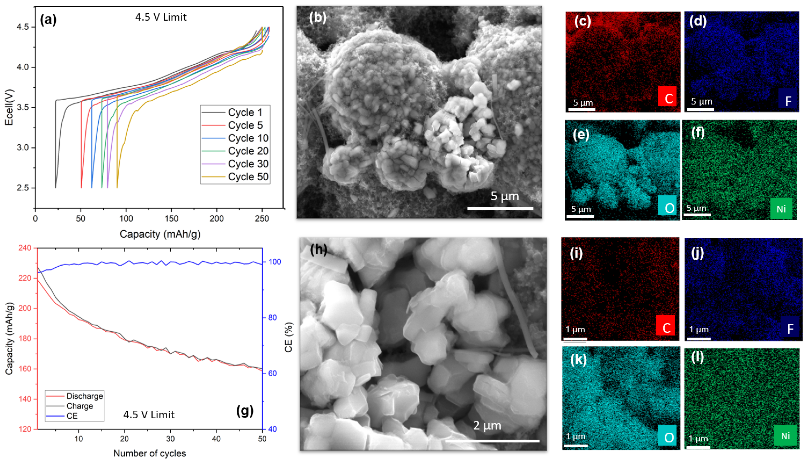 Symmetry 16 00301 g004
