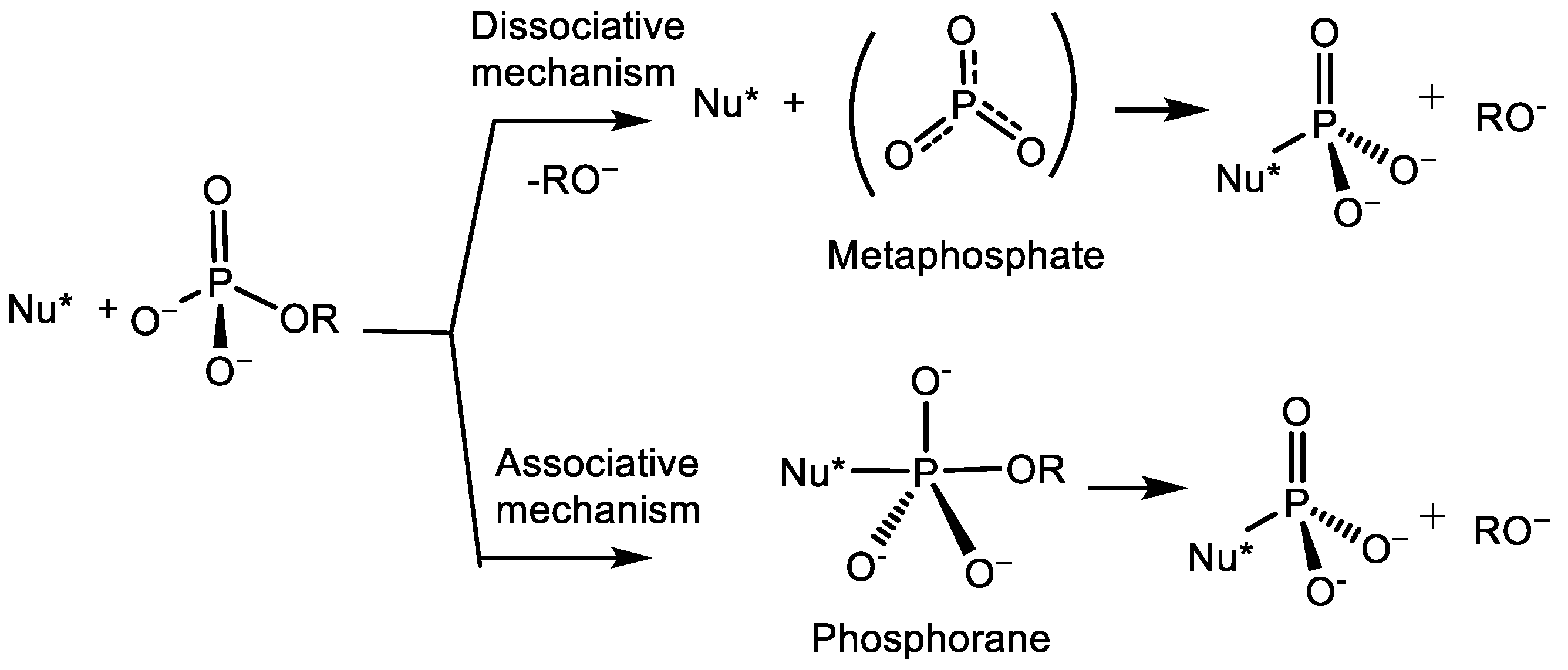 Symmetry 16 00342 g001 Symmetry 16 00342 g001