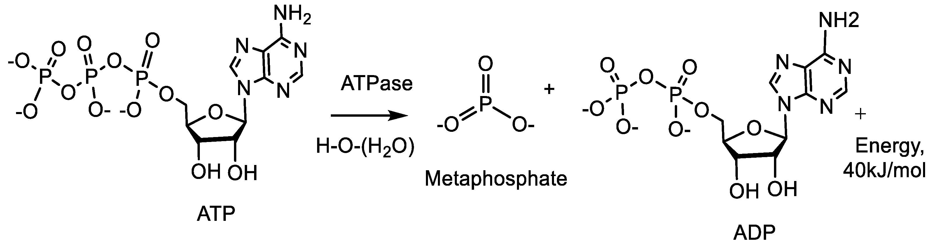 Symmetry 16 00342 g002 Symmetry 16 00342 g002