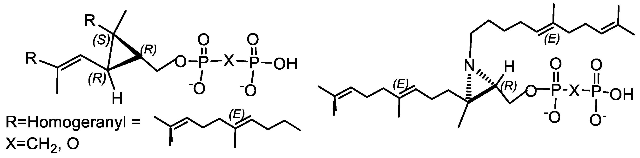 Symmetry 16 00342 g031 Symmetry 16 00342 g031
