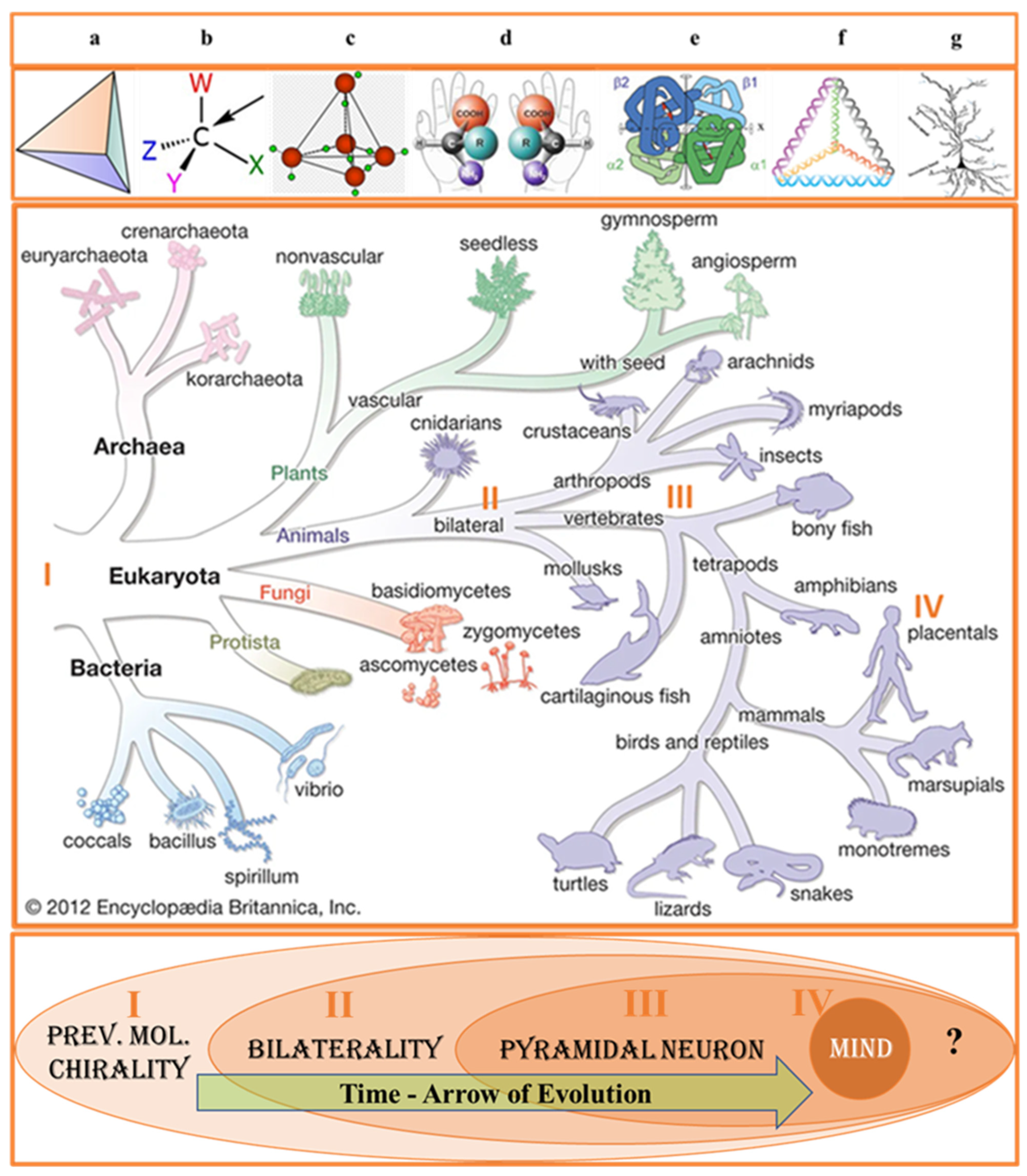 Symmetry 16 00355 g001 Symmetry 16 00355 g001
