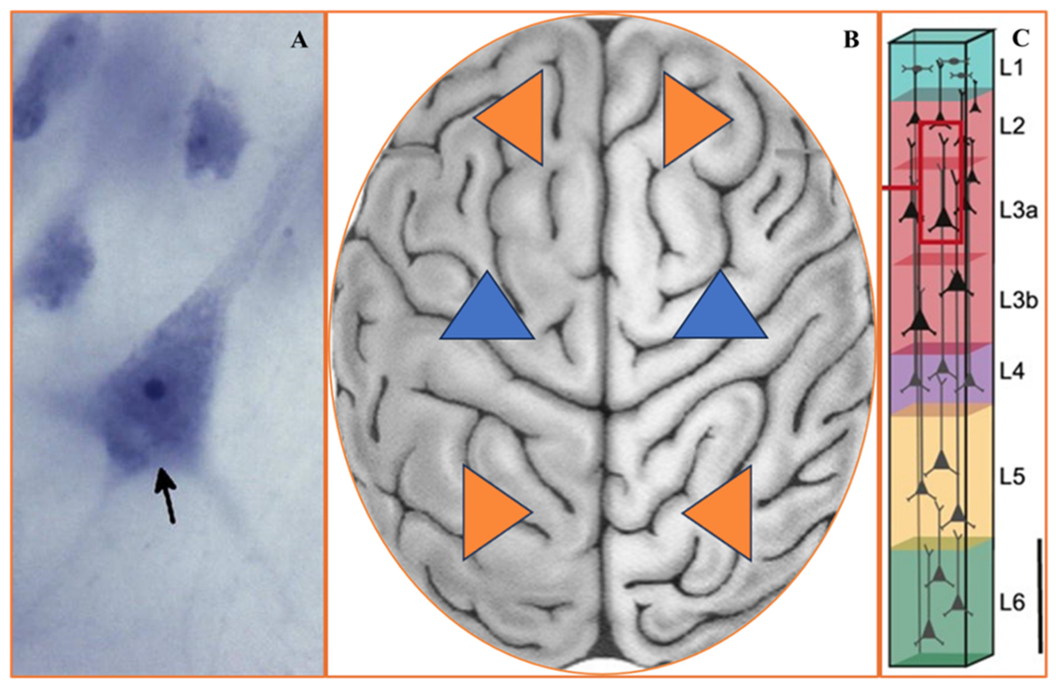 Symmetry 16 00355 g002 Symmetry 16 00355 g002