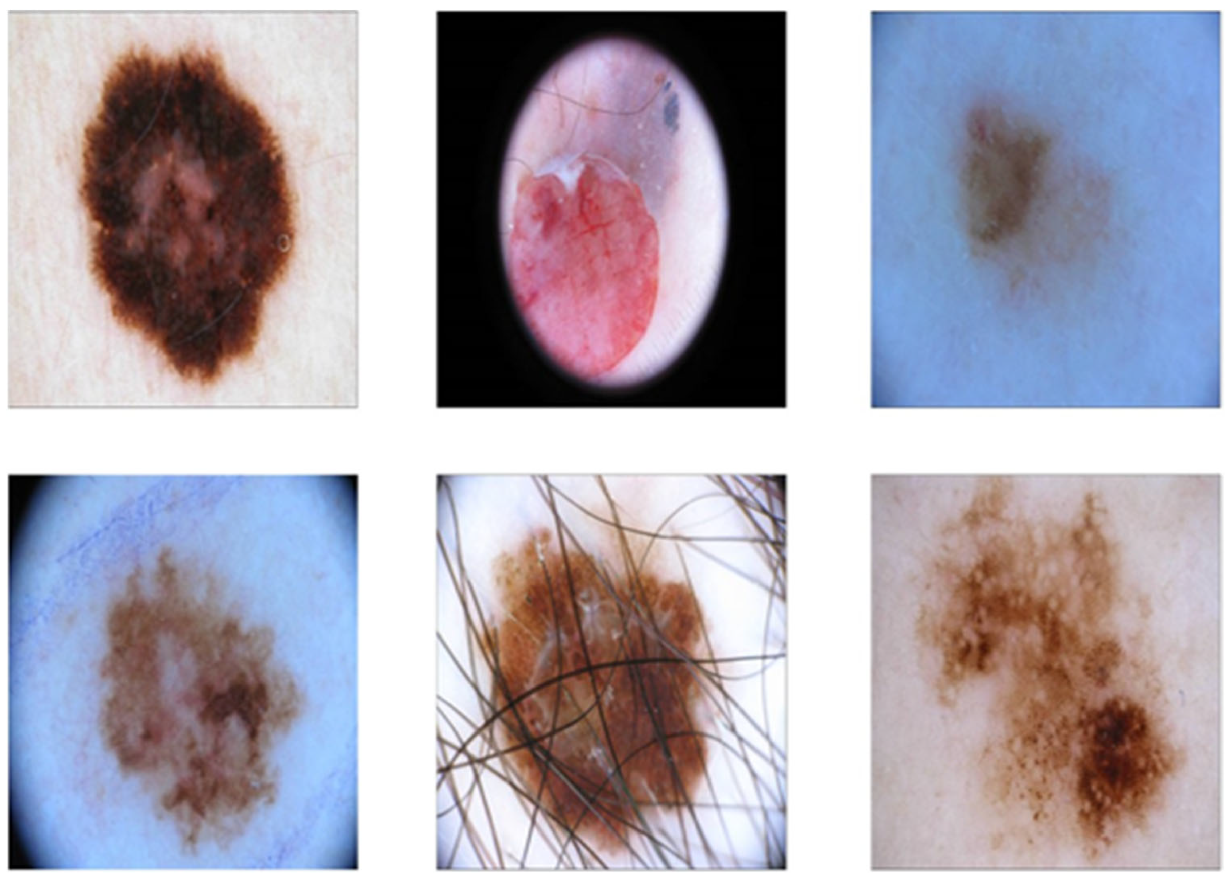 Symmetry 16 00366 g002