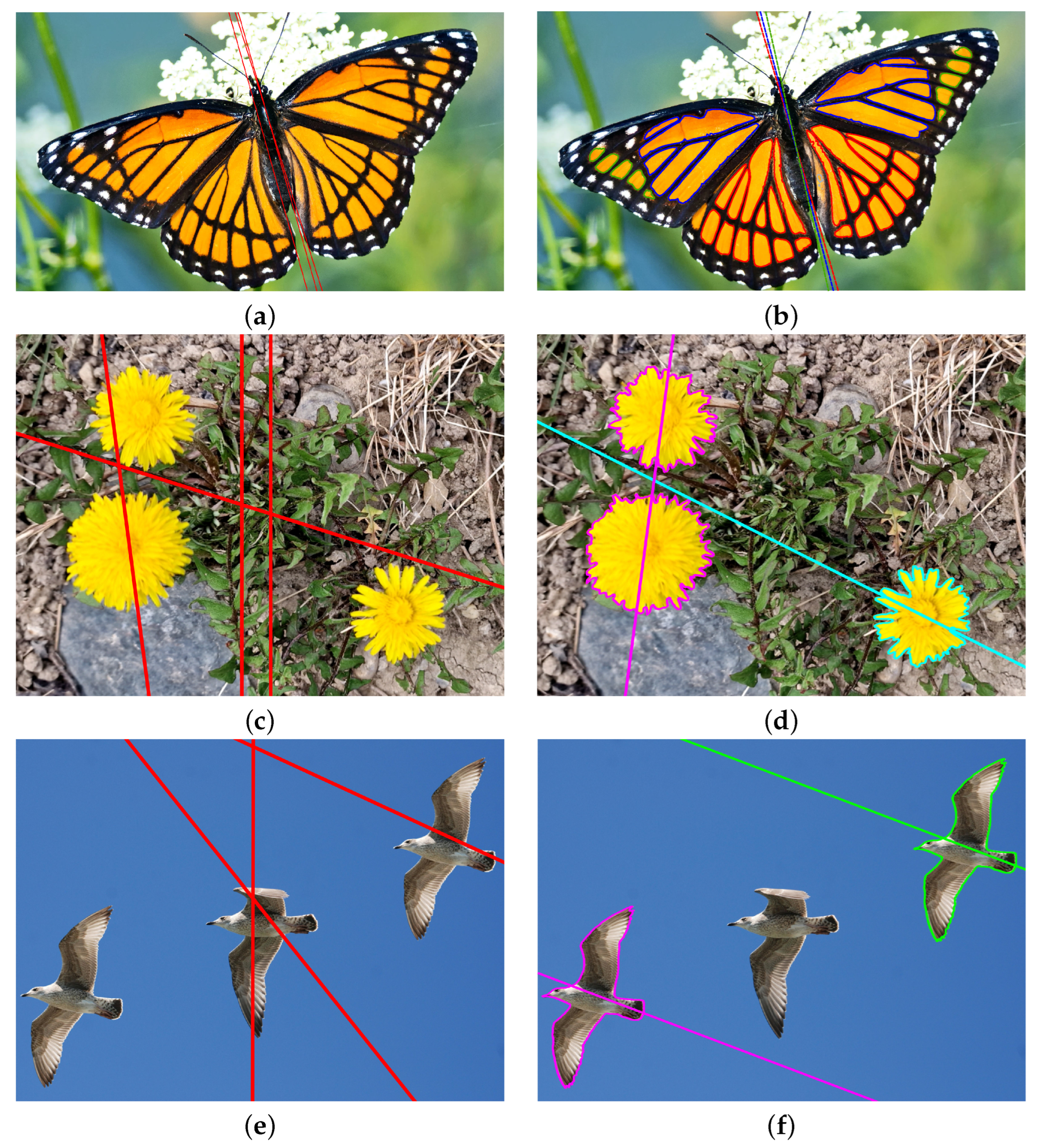 Symmetry 16 00442 g008