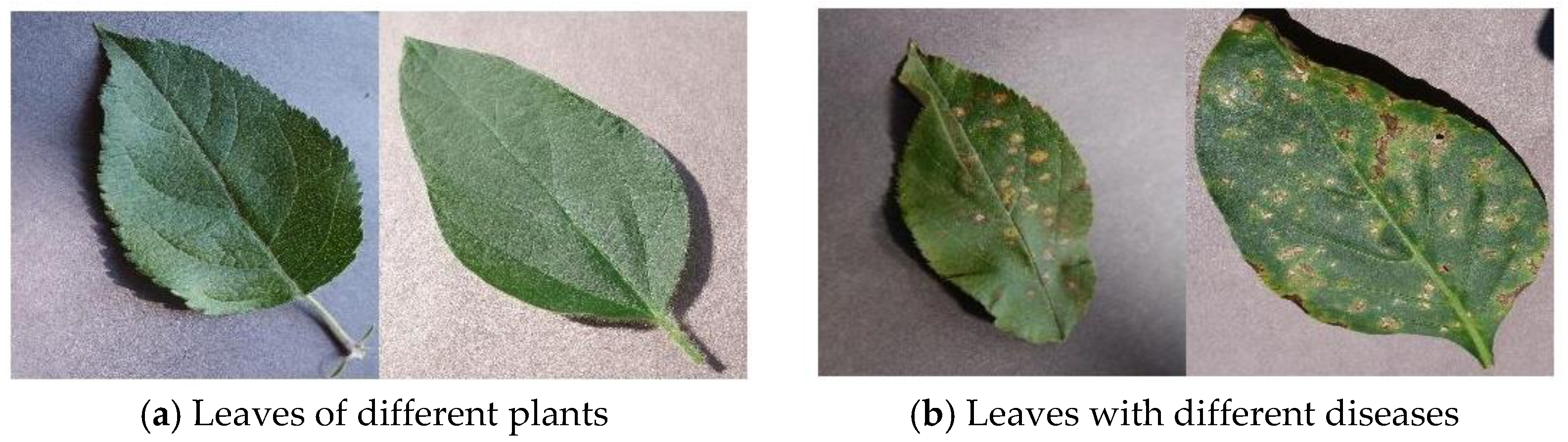 Symmetry 16 00451 g001