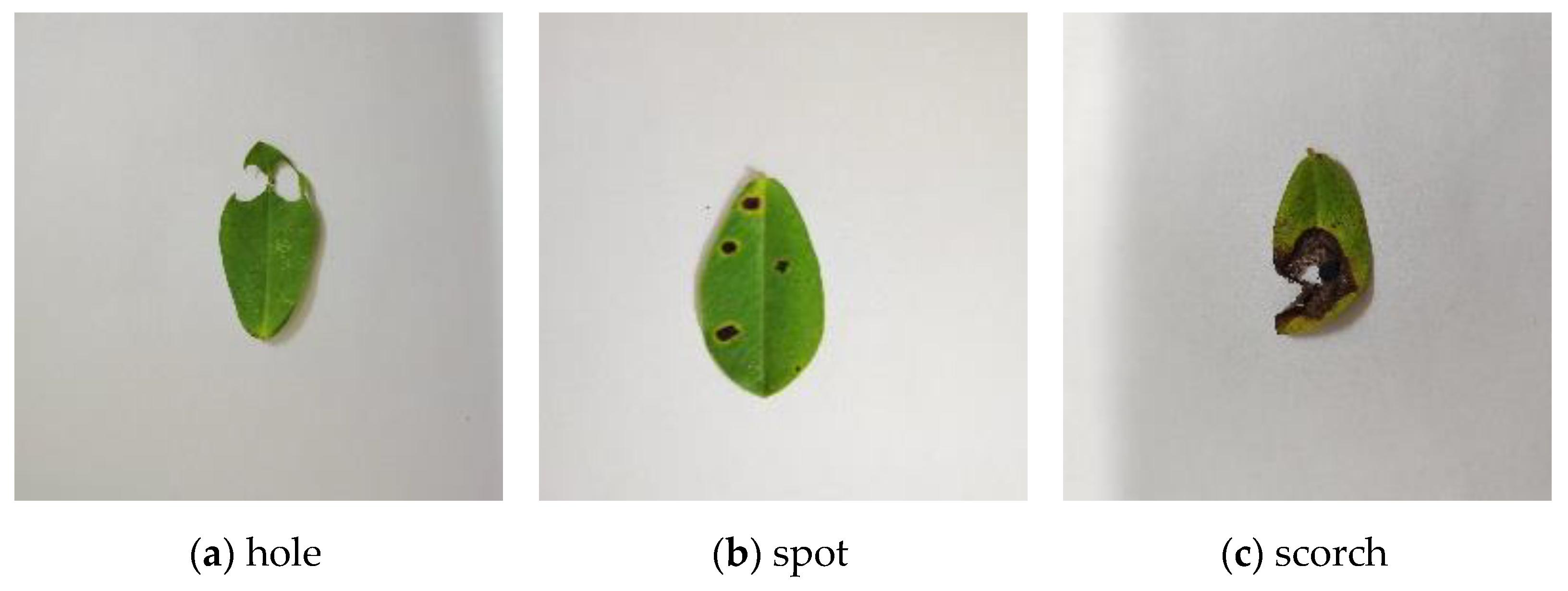 Symmetry 16 00451 g006