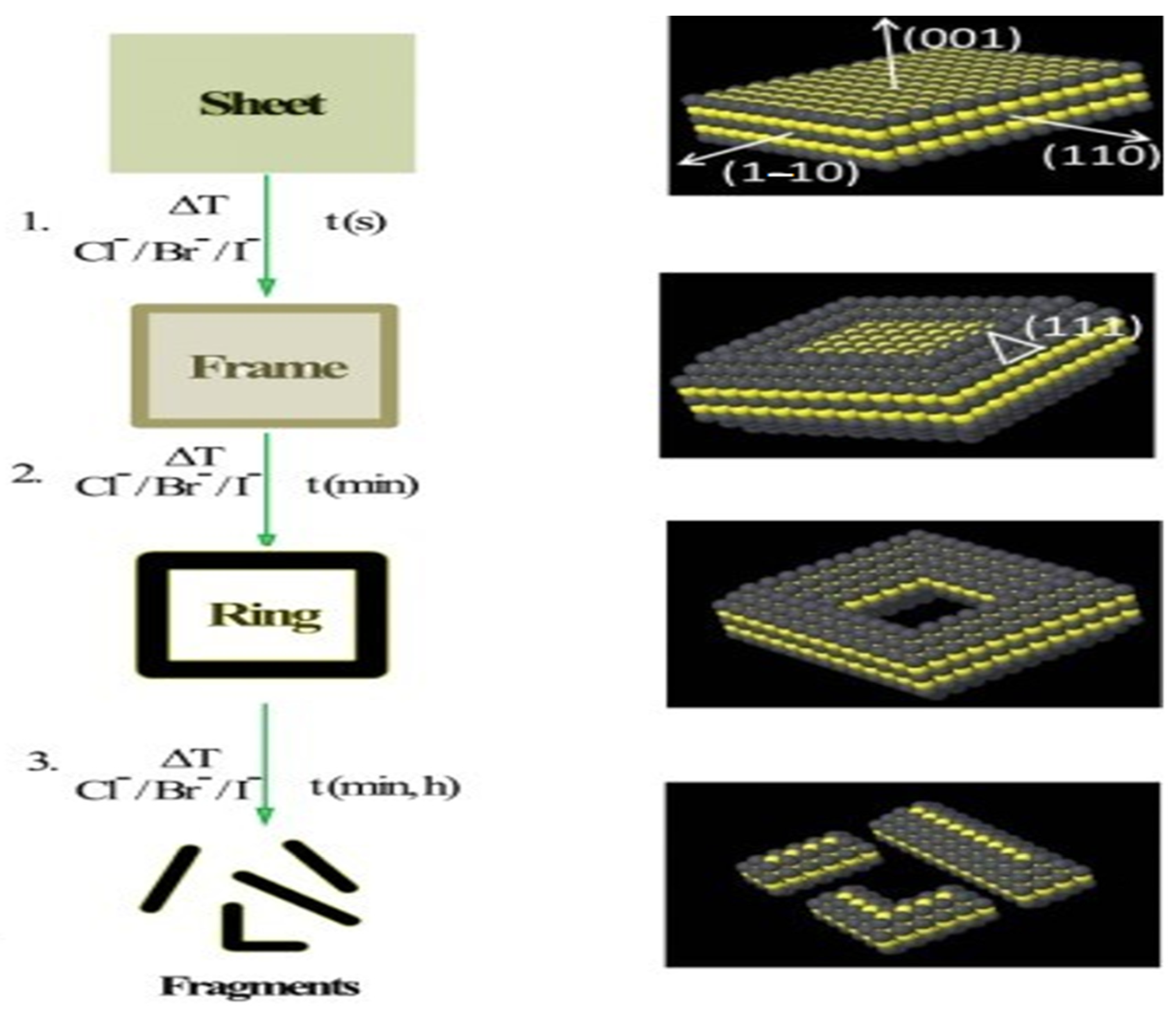 Symmetry 16 00452 g007