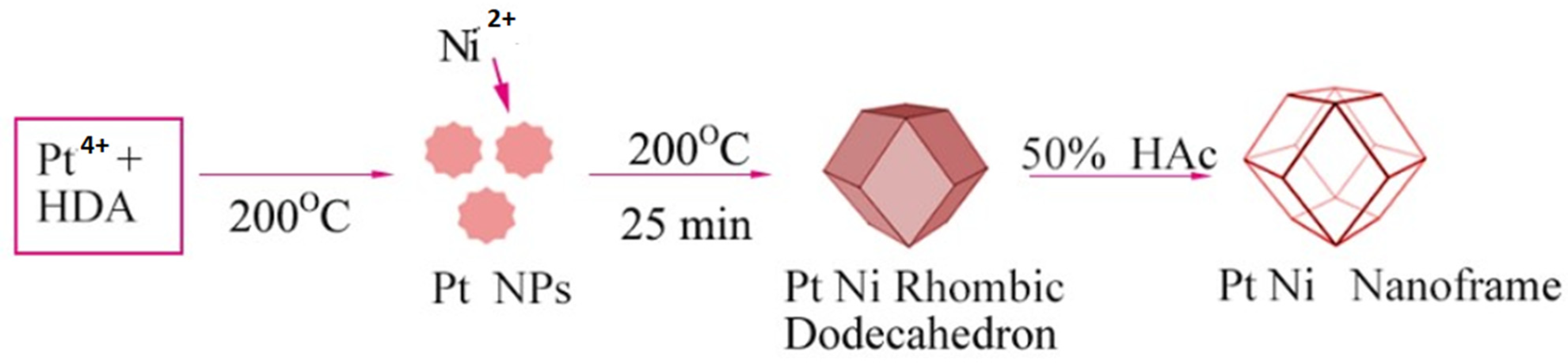 Symmetry 16 00452 g010