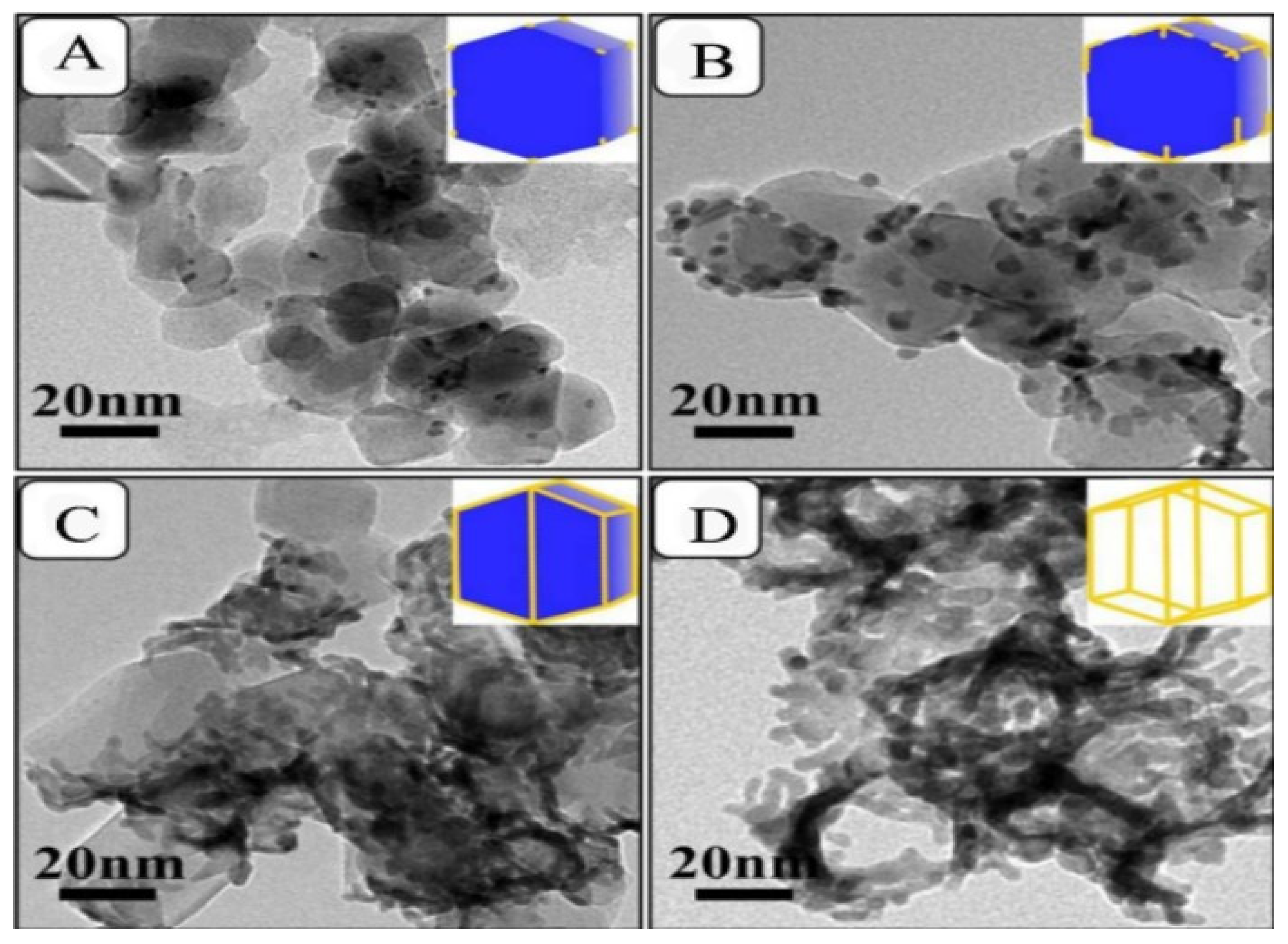 Symmetry 16 00452 g016