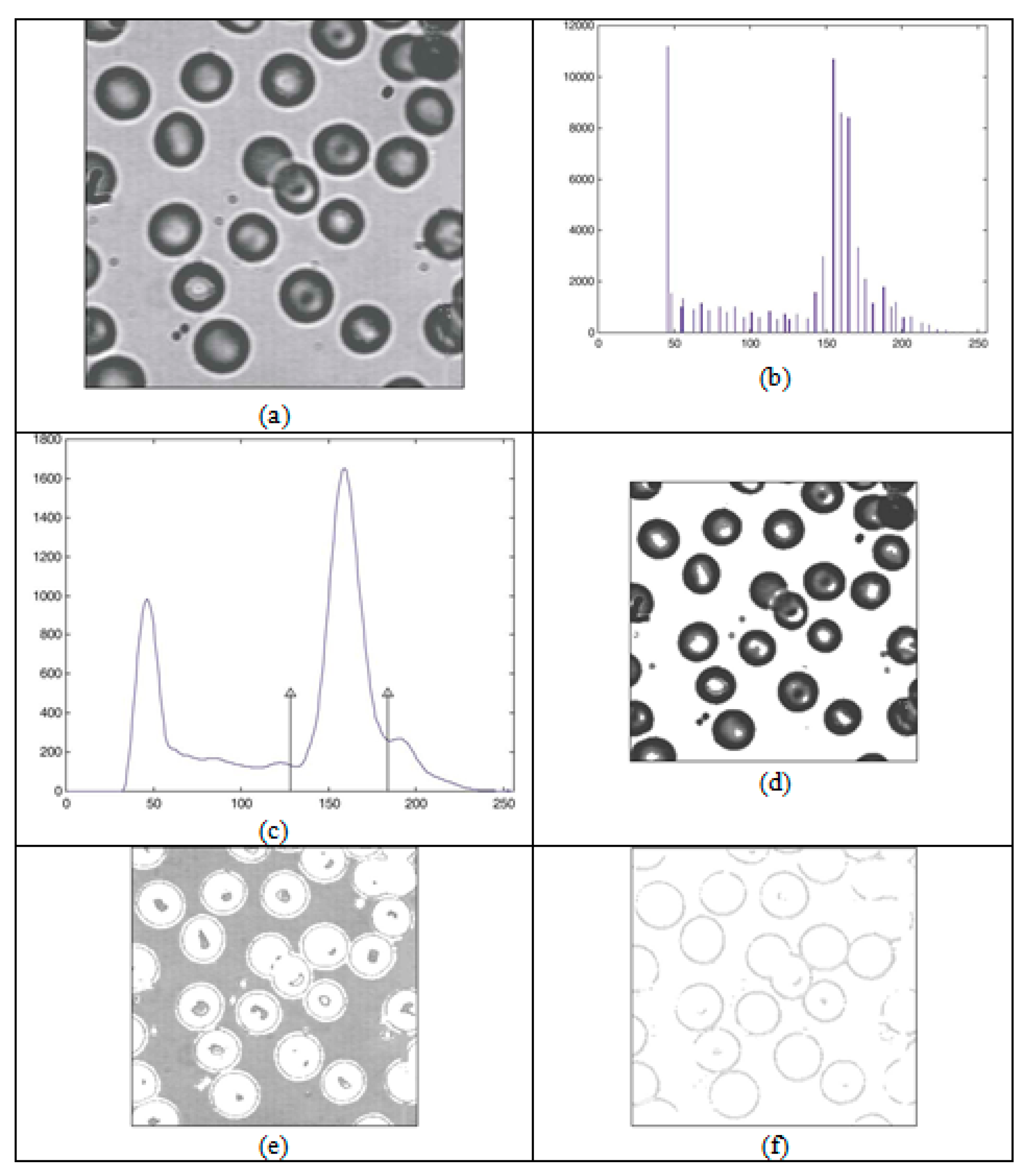 Symmetry 16 00472 g001