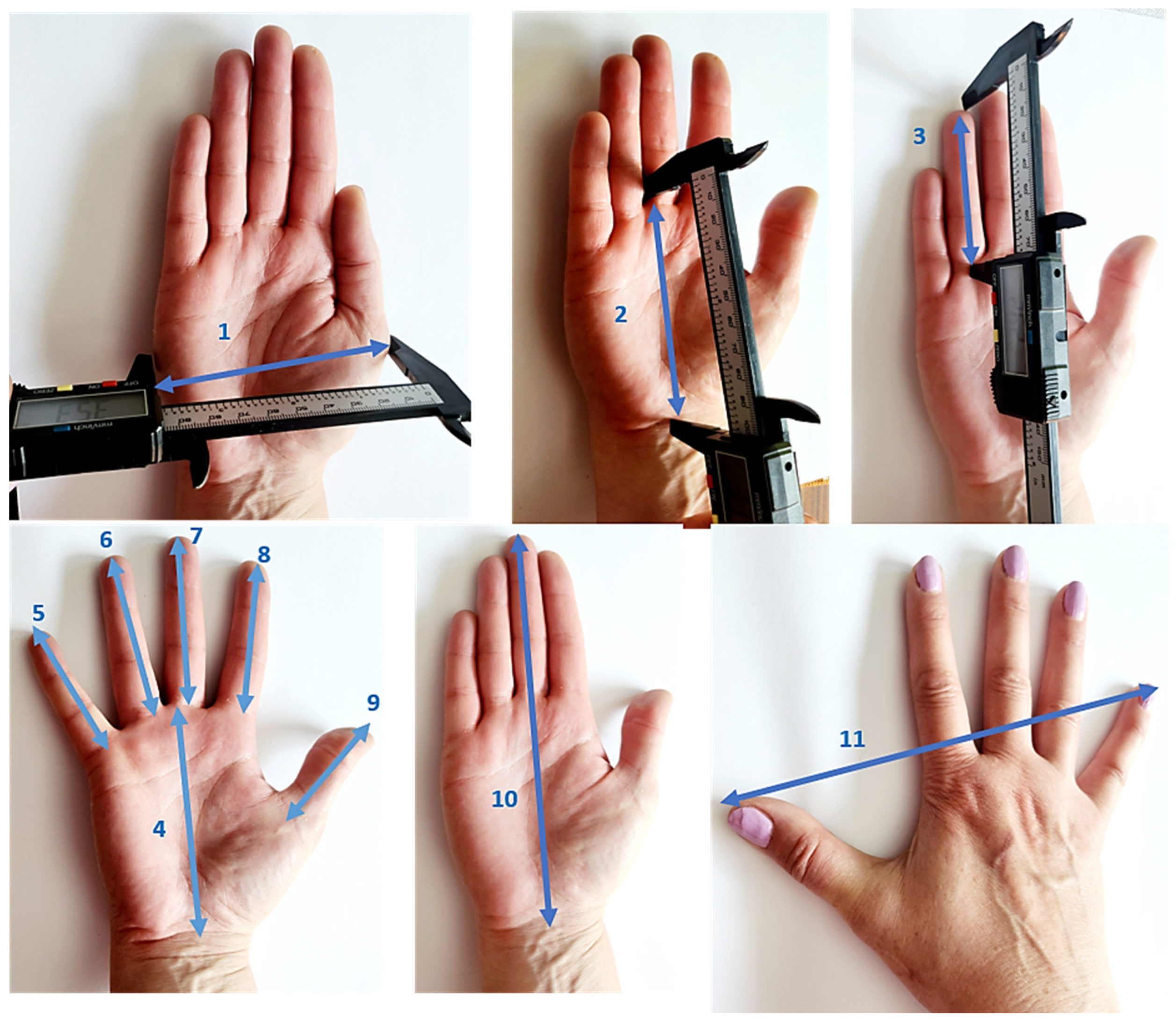 Symmetry 16 00558 g002 Symmetry 16 00558 g002