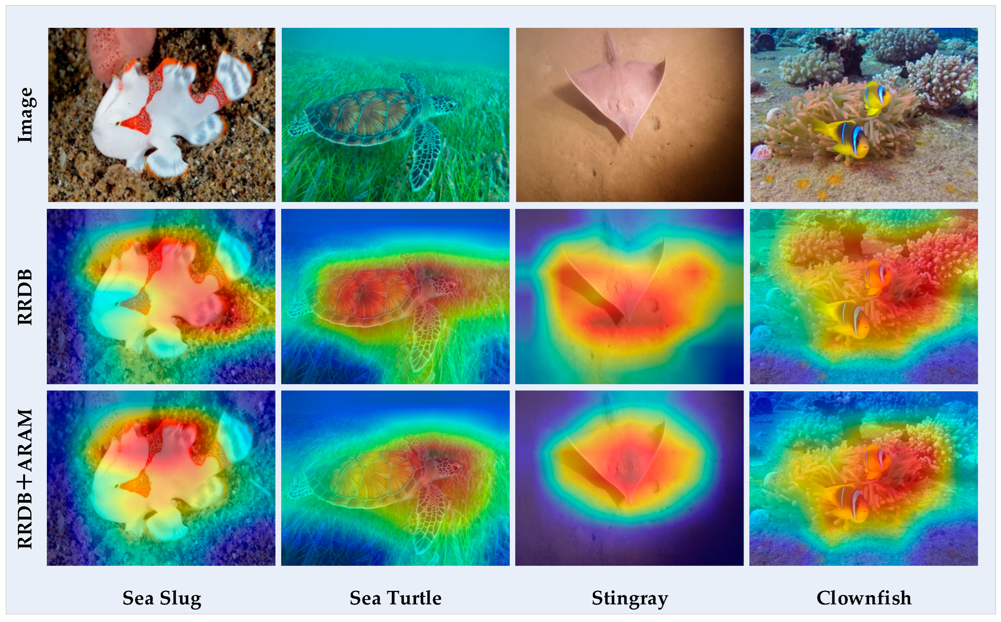Symmetry 16 00588 g006