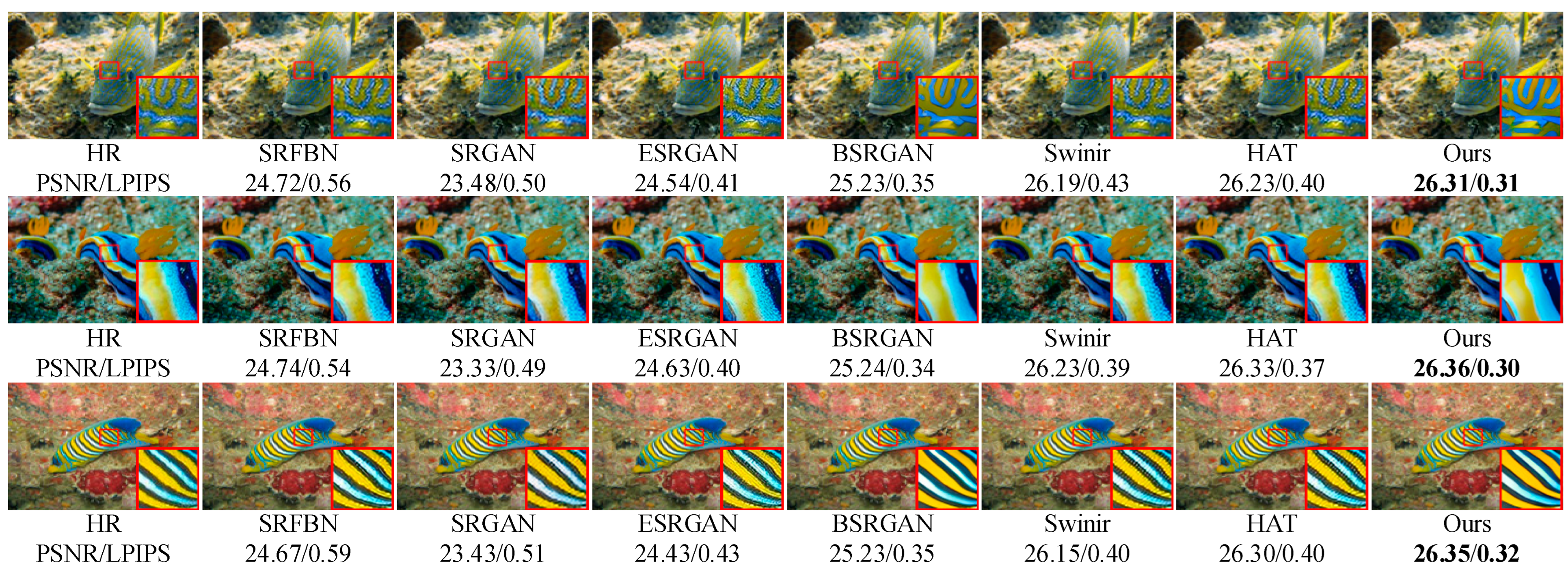 Symmetry 16 00588 g008