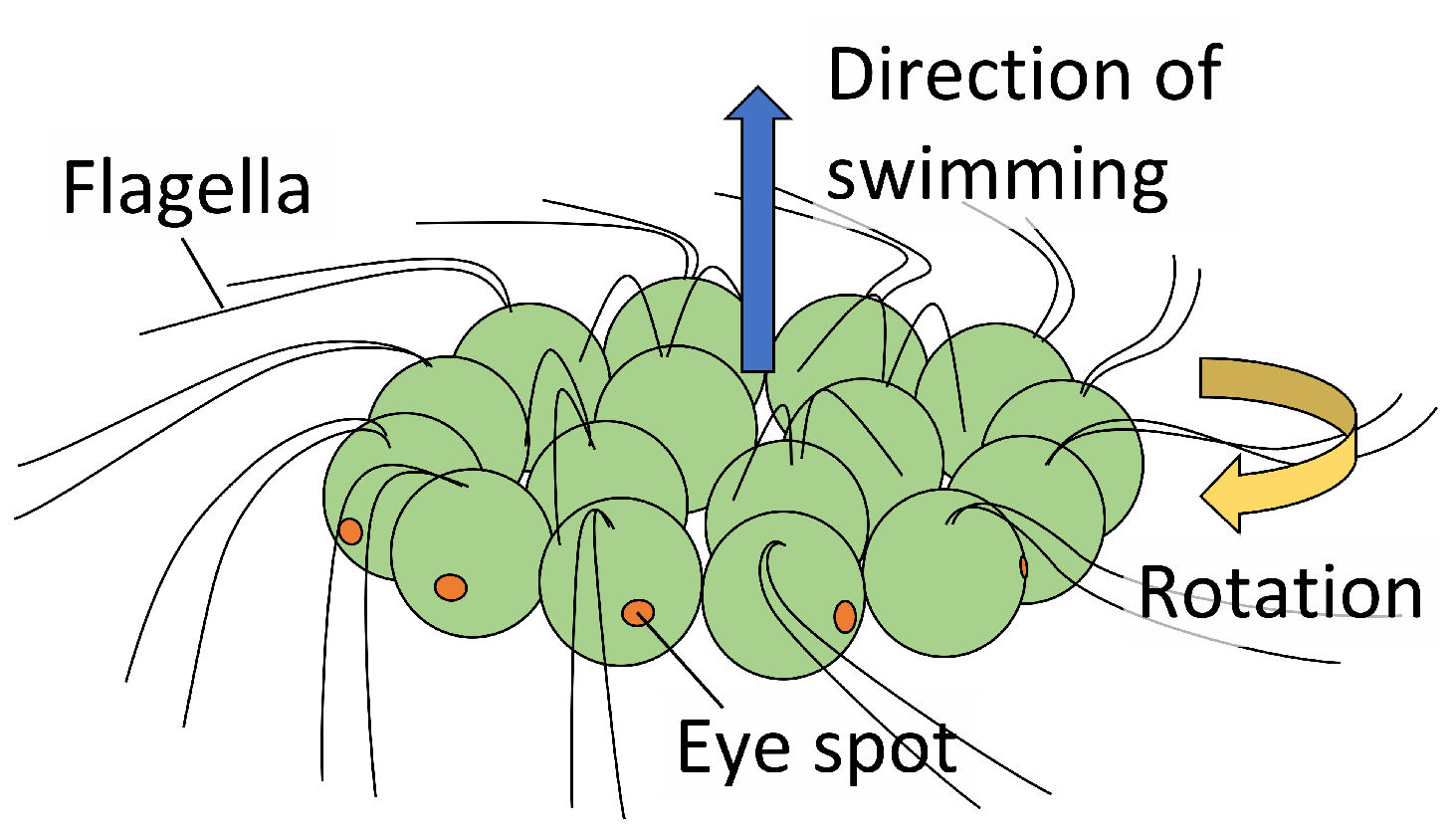 Symmetry 16 00630 g002