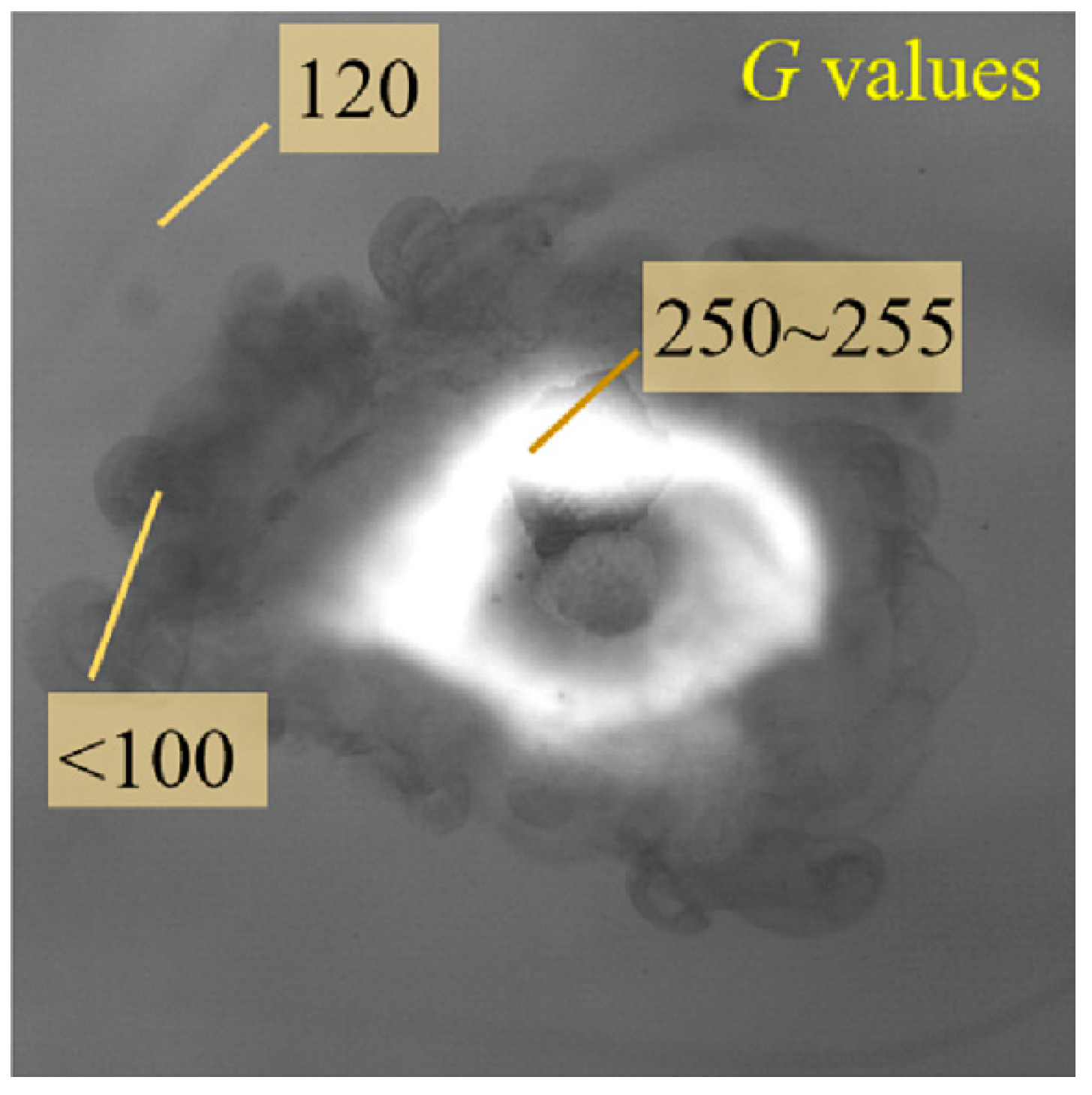Symmetry 16 00682 g003