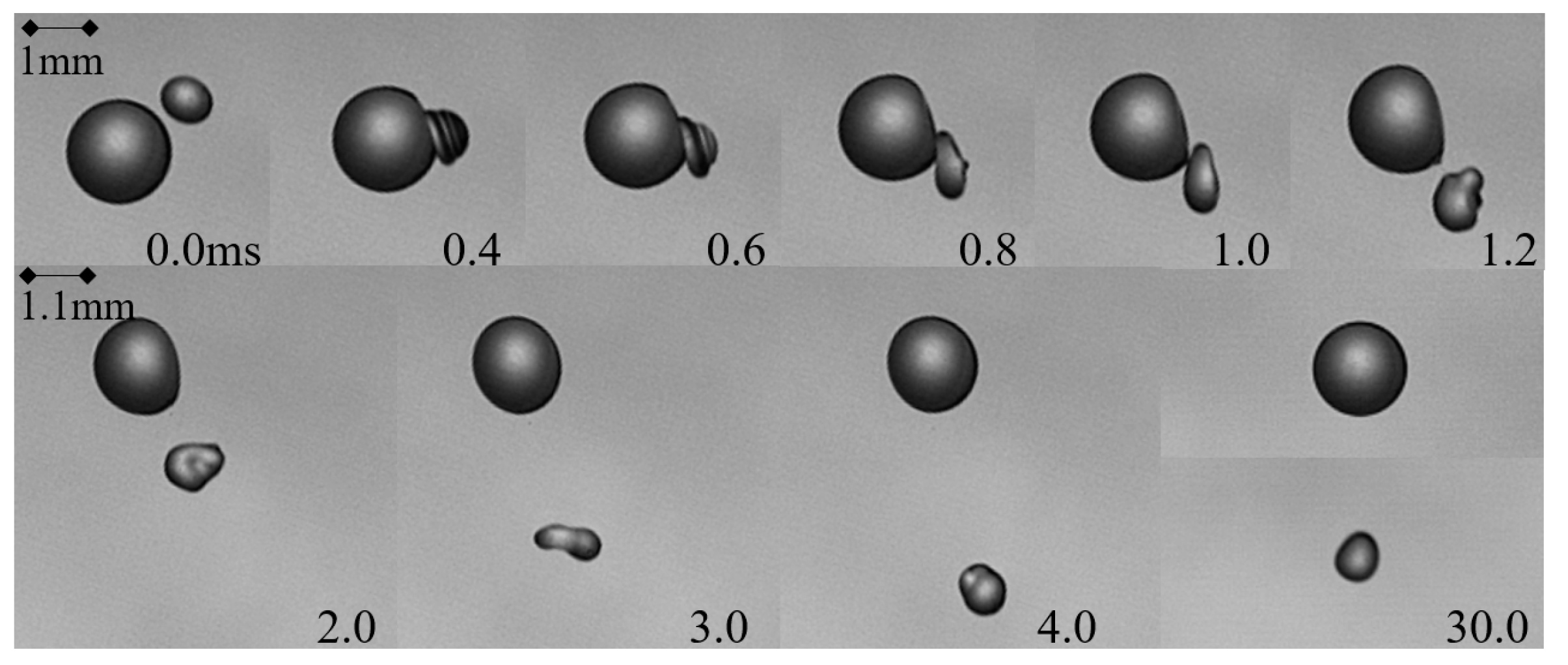 Symmetry 16 00682 g005