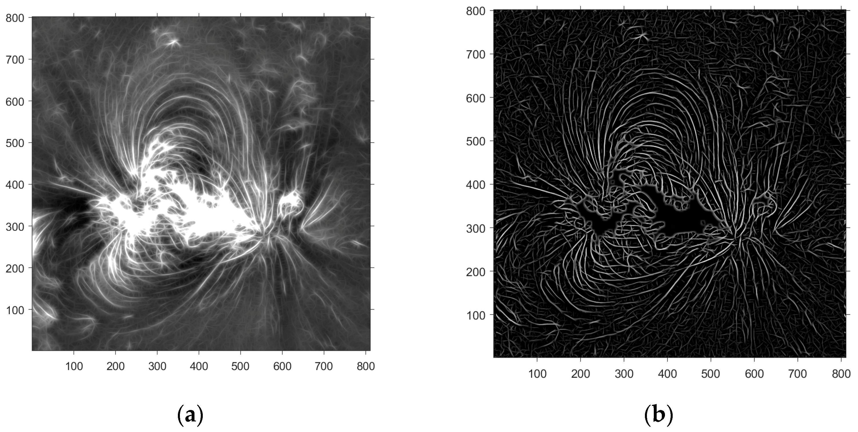 Symmetry 16 00704 g006