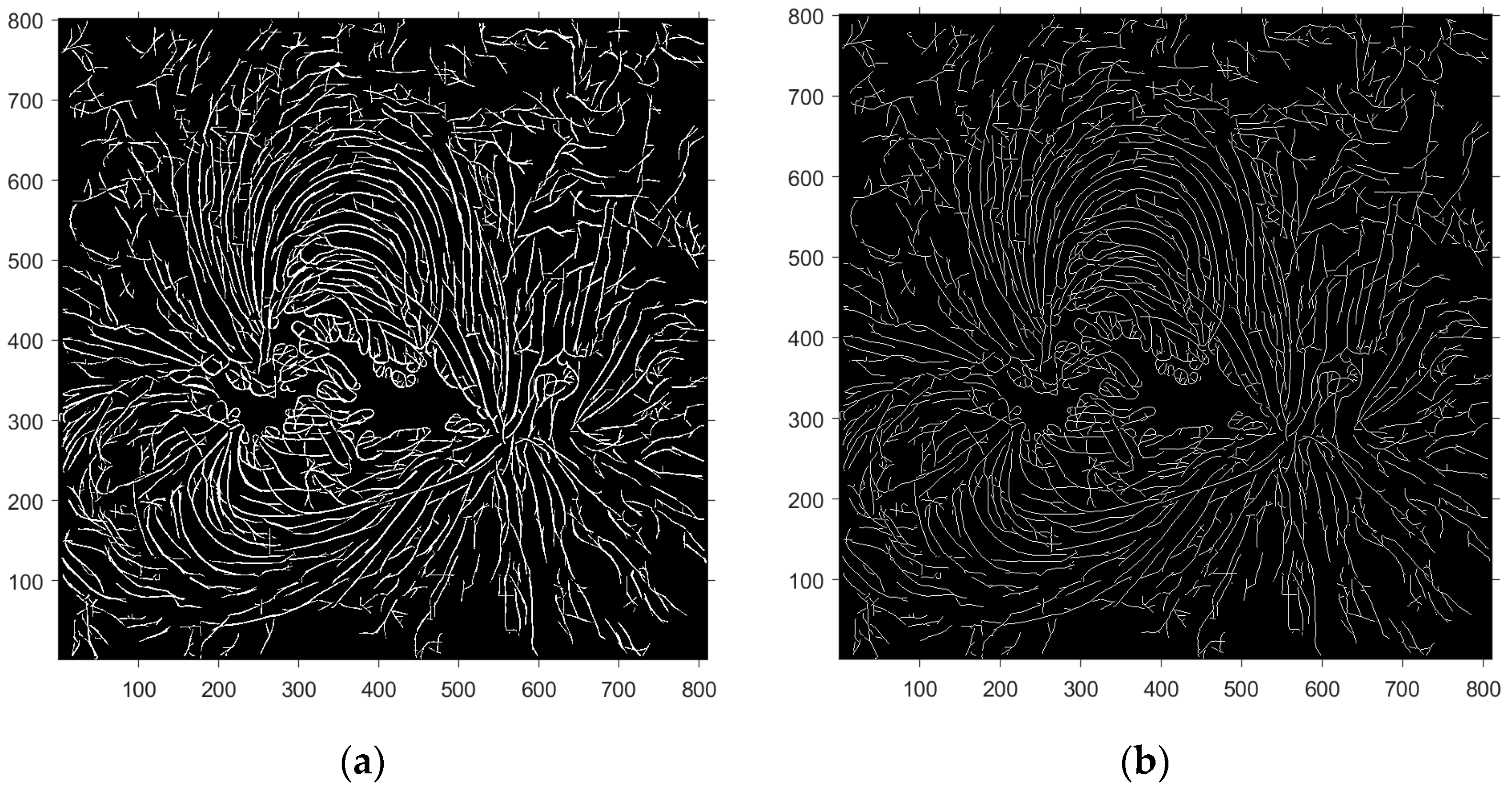 Symmetry 16 00704 g007