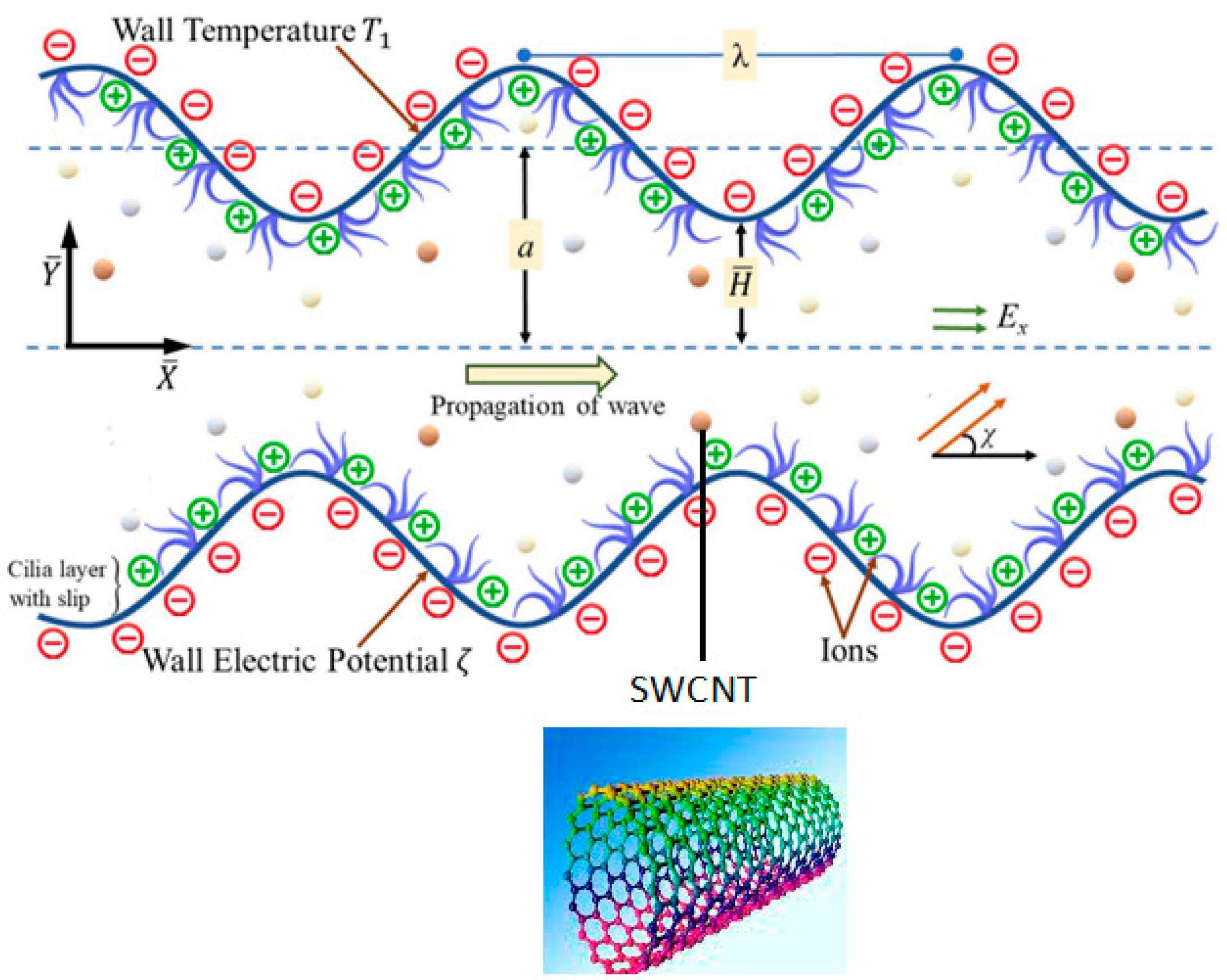 洋書 Radiation of Nonsinusoidal Electromag All-Around Electromagnetic Wave Absorber Based on Ni–Zn