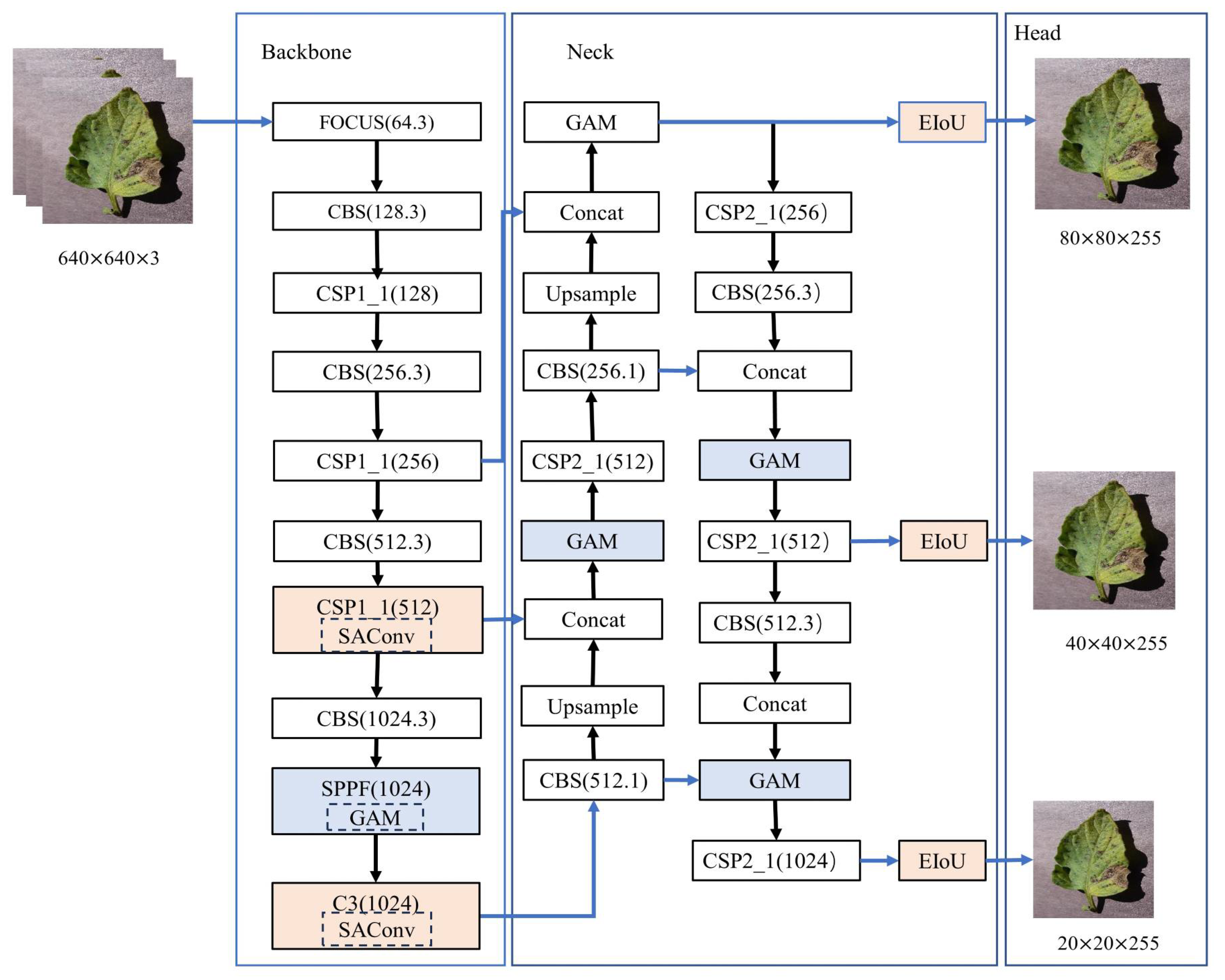 Symmetry 16 00723 g001