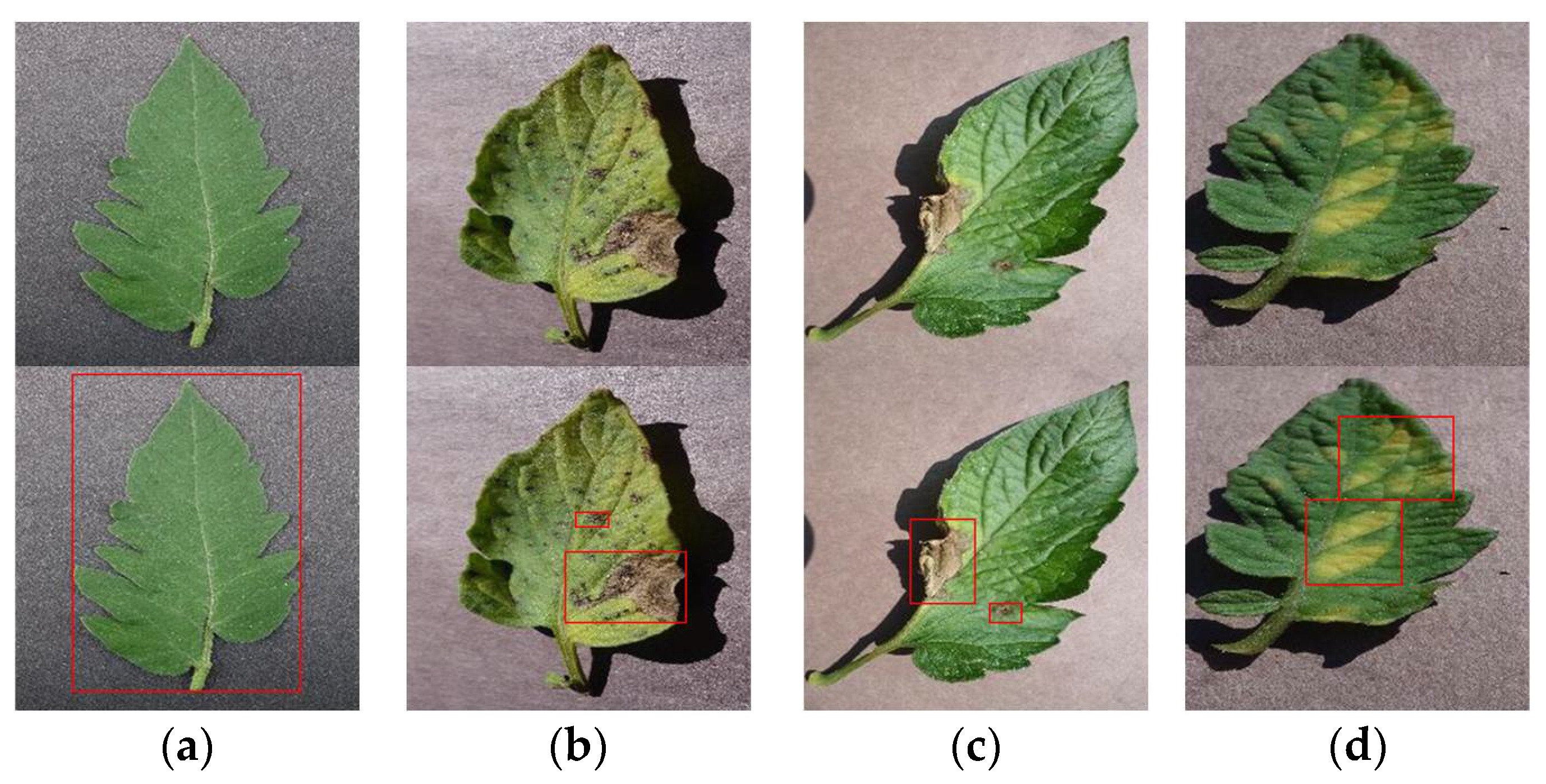 Symmetry 16 00723 g006