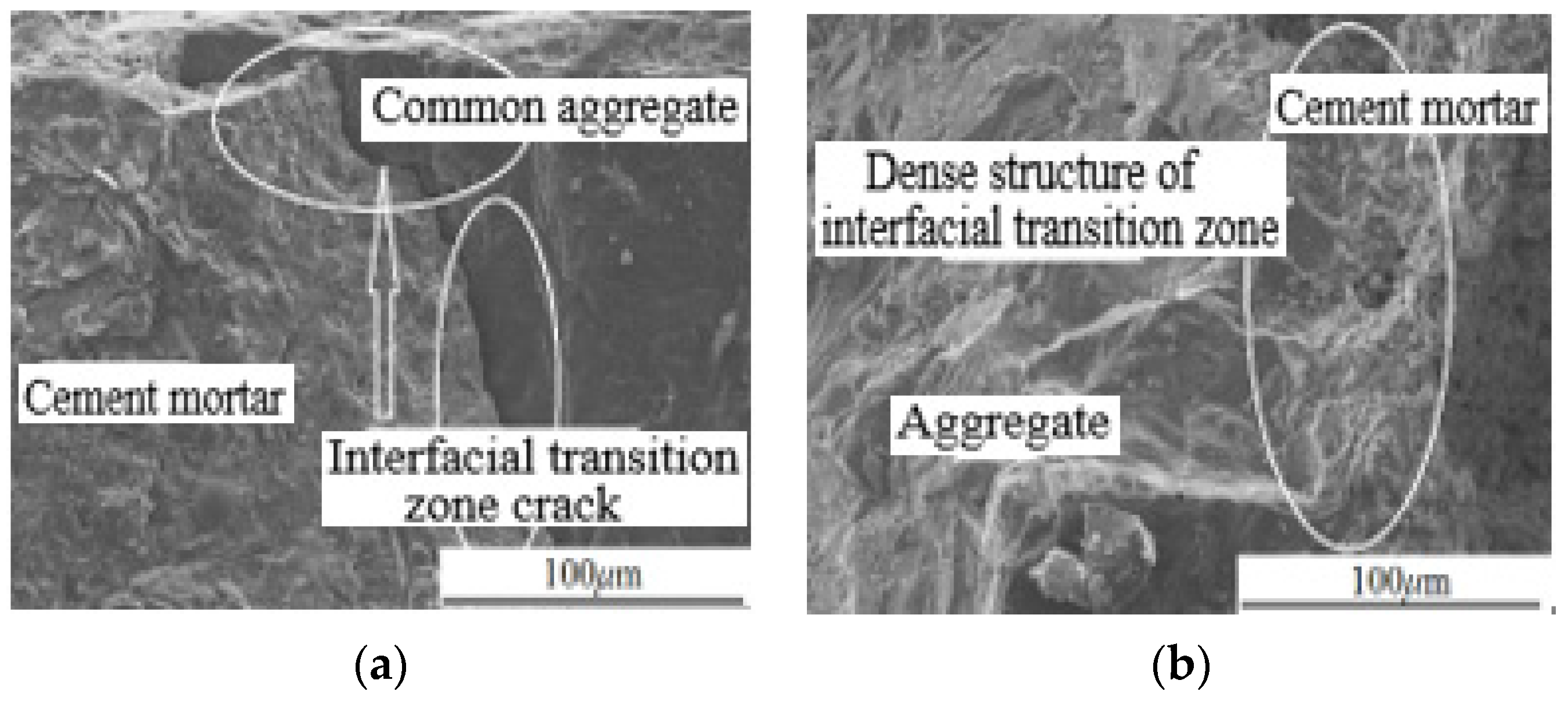 Symmetry 16 00782 g005a