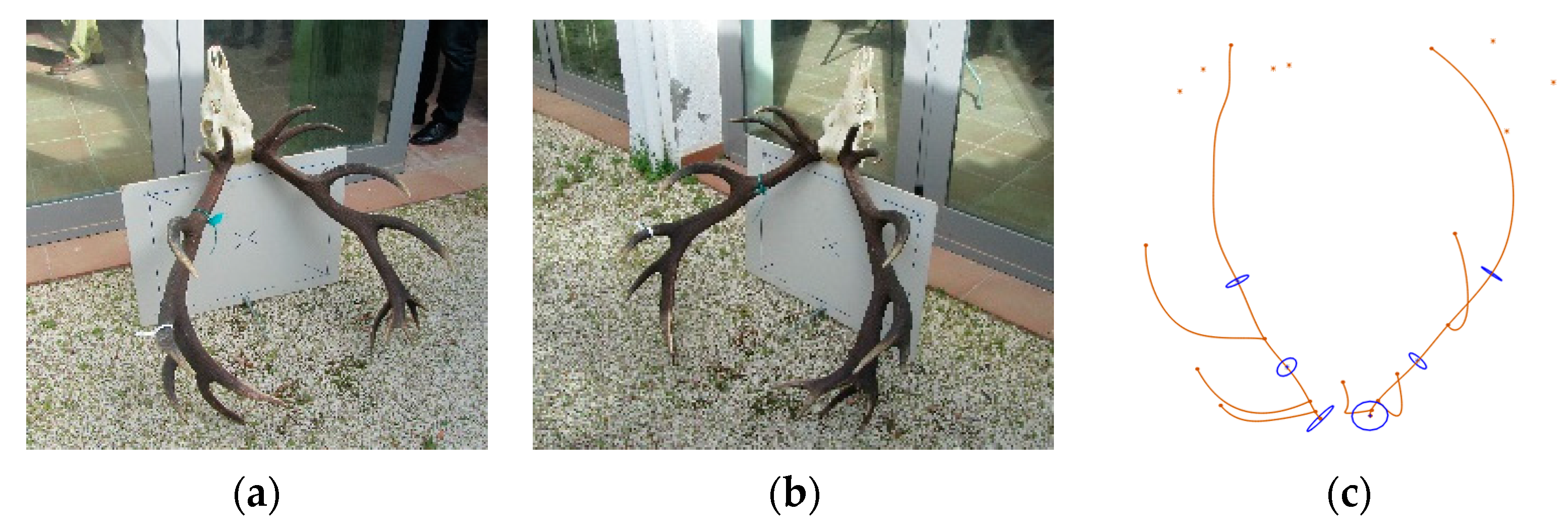 Symmetry 16 00785 g001