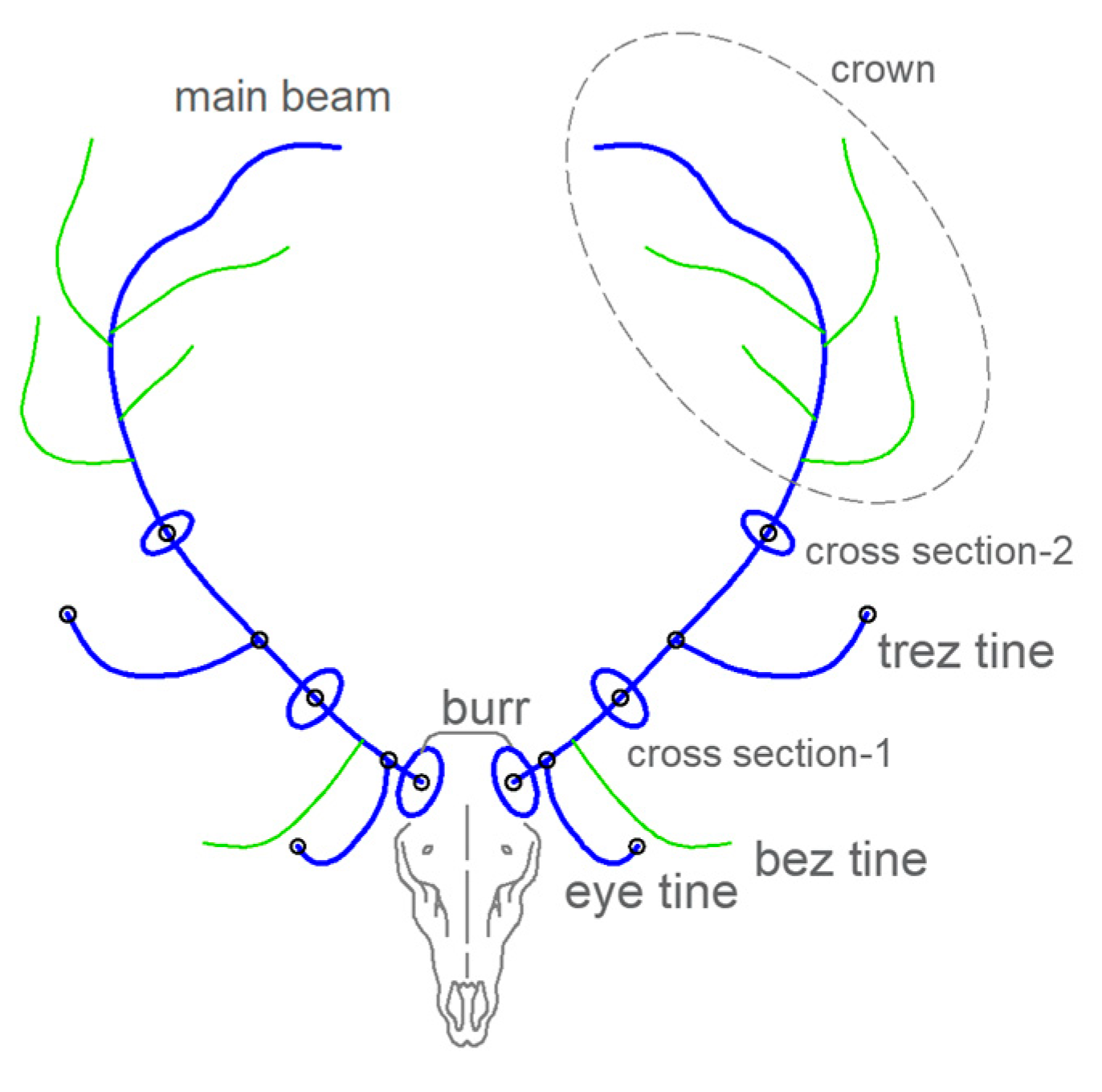 Symmetry 16 00785 g002