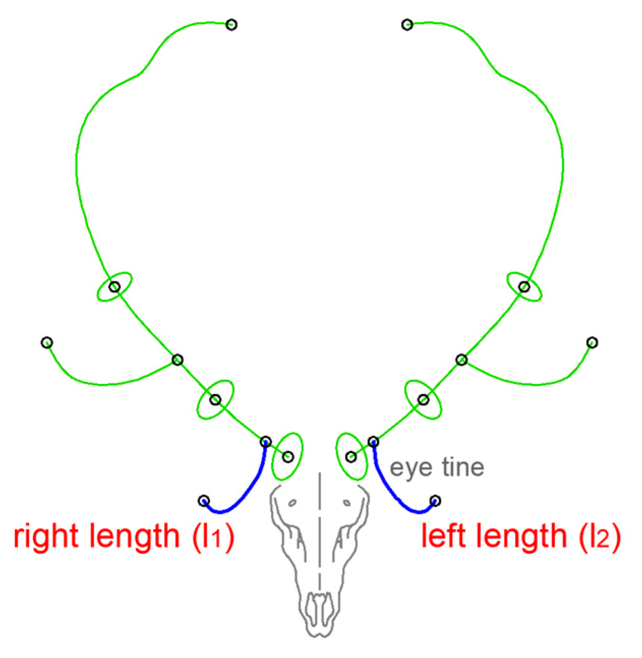 Symmetry 16 00785 g003