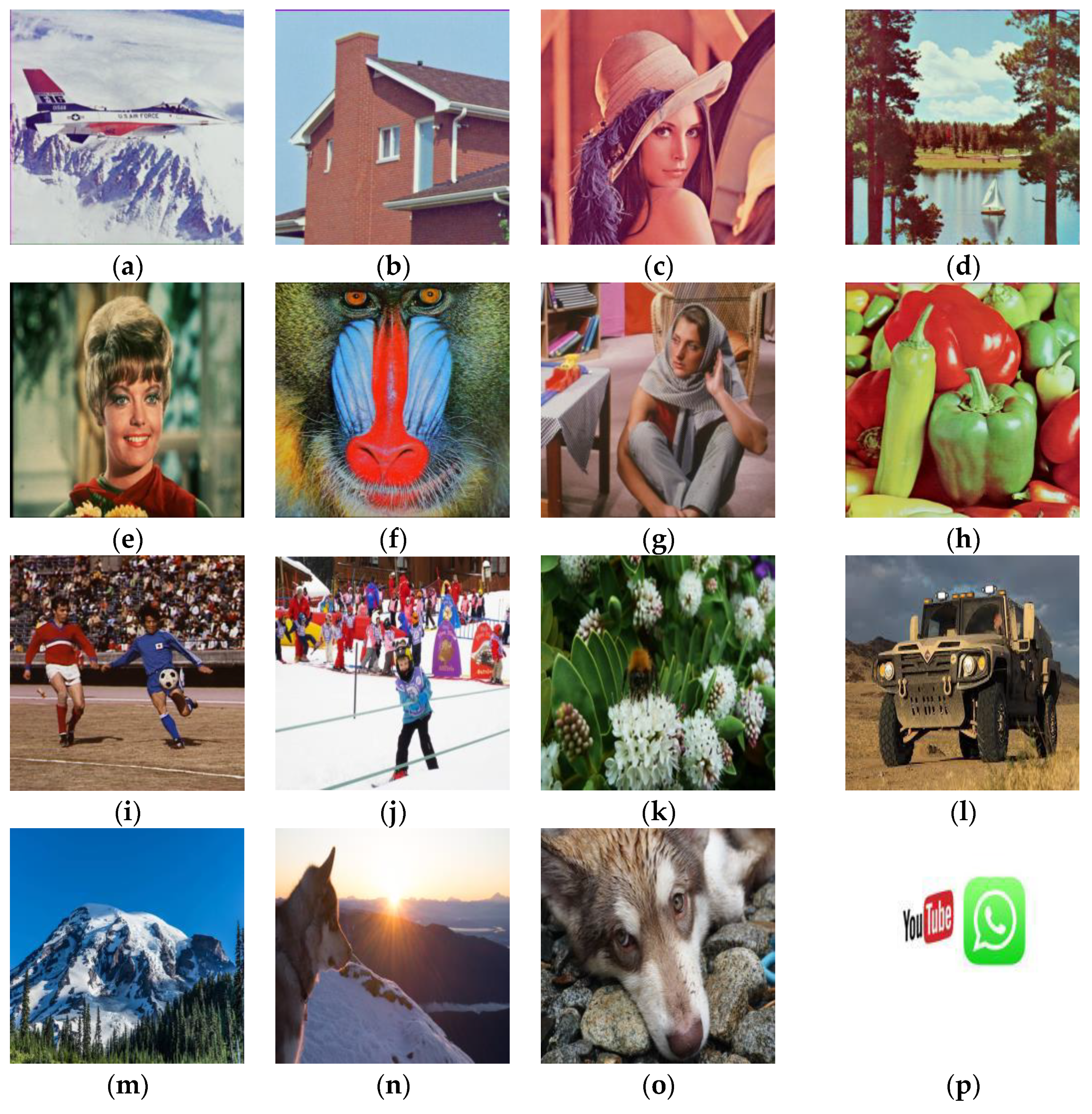 Symmetry 16 00877 g005