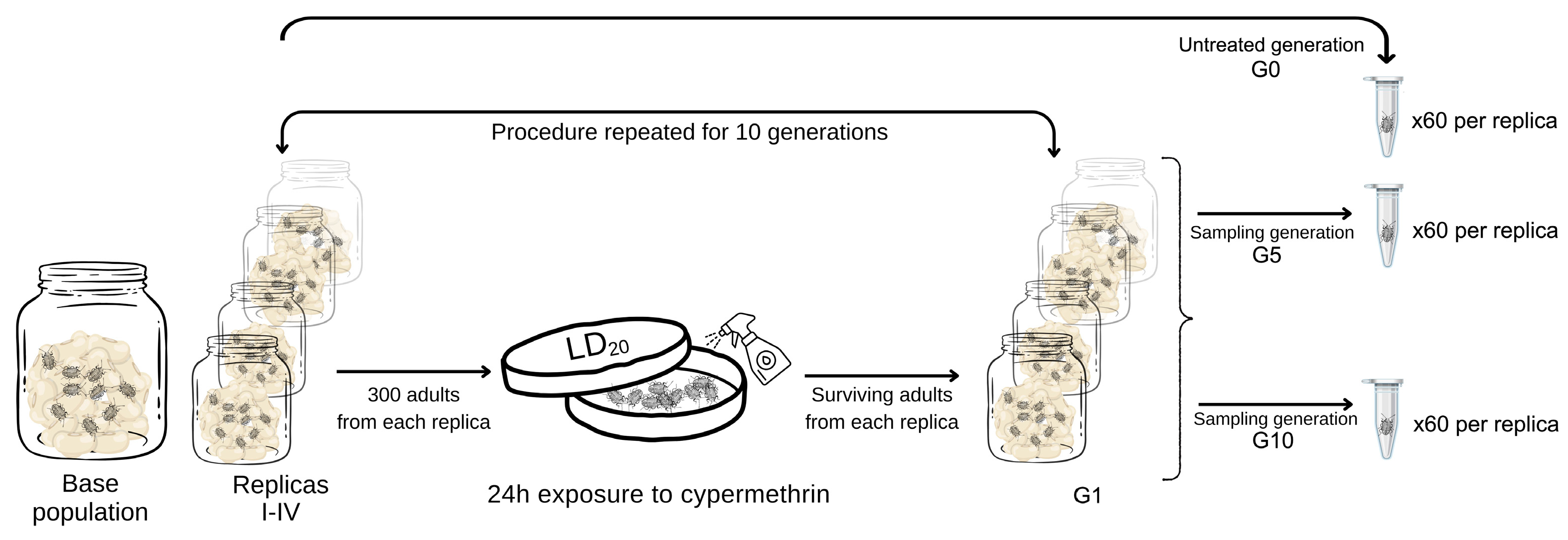 Symmetry 16 00995 g001