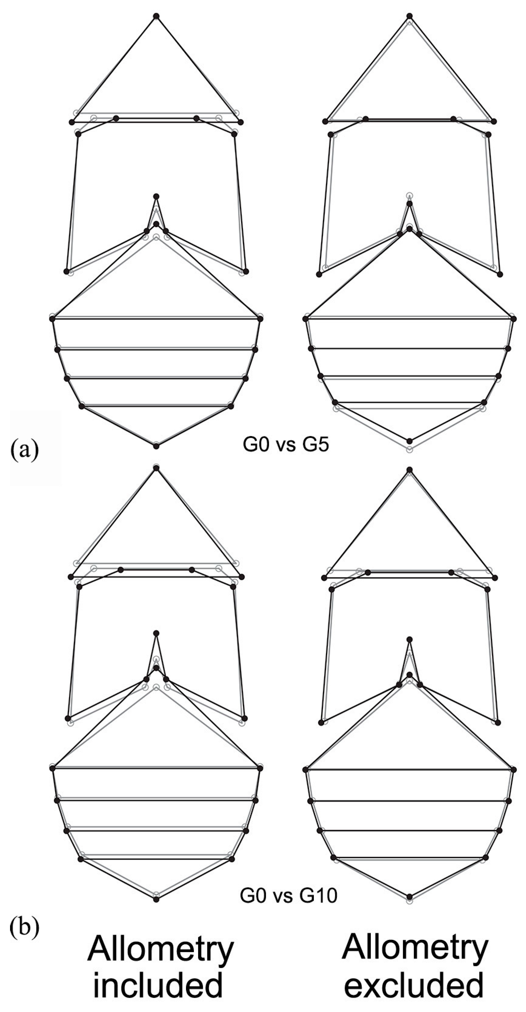Symmetry 16 00995 g004