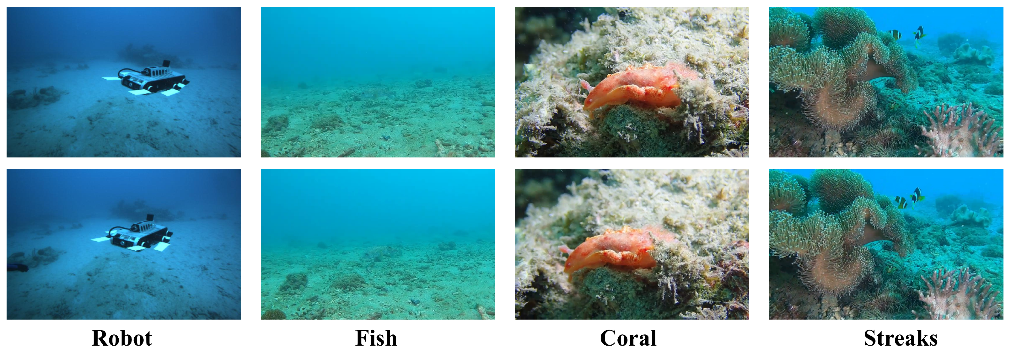 Symmetry 16 01010 g002