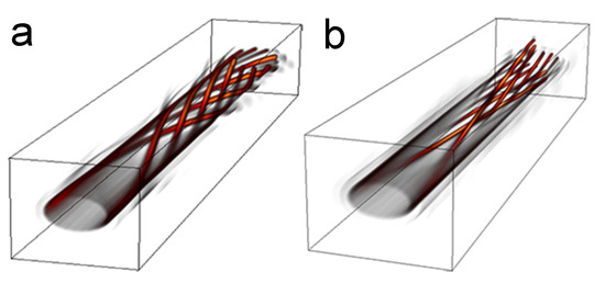 Structured Light from Classical to Quantum Perspectives