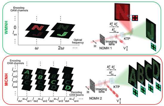 Structured Light from Classical to Quantum Perspectives
