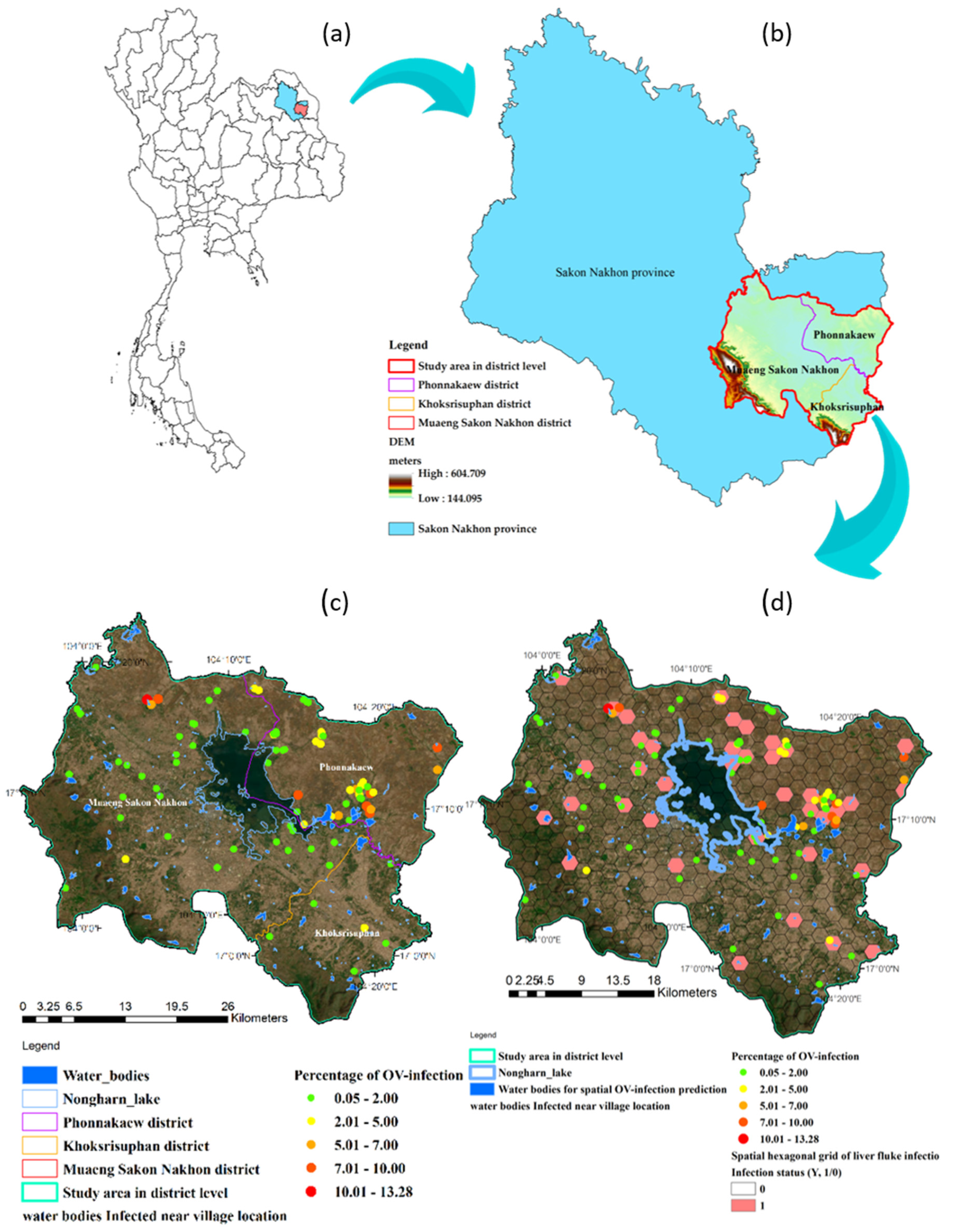Symmetry 16 01067 g002