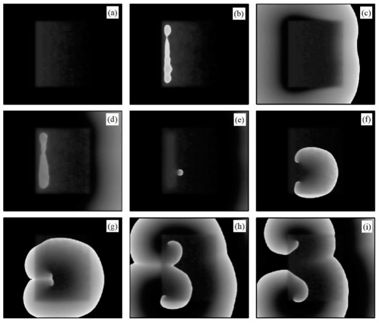 Symmetry 16 01136 g009