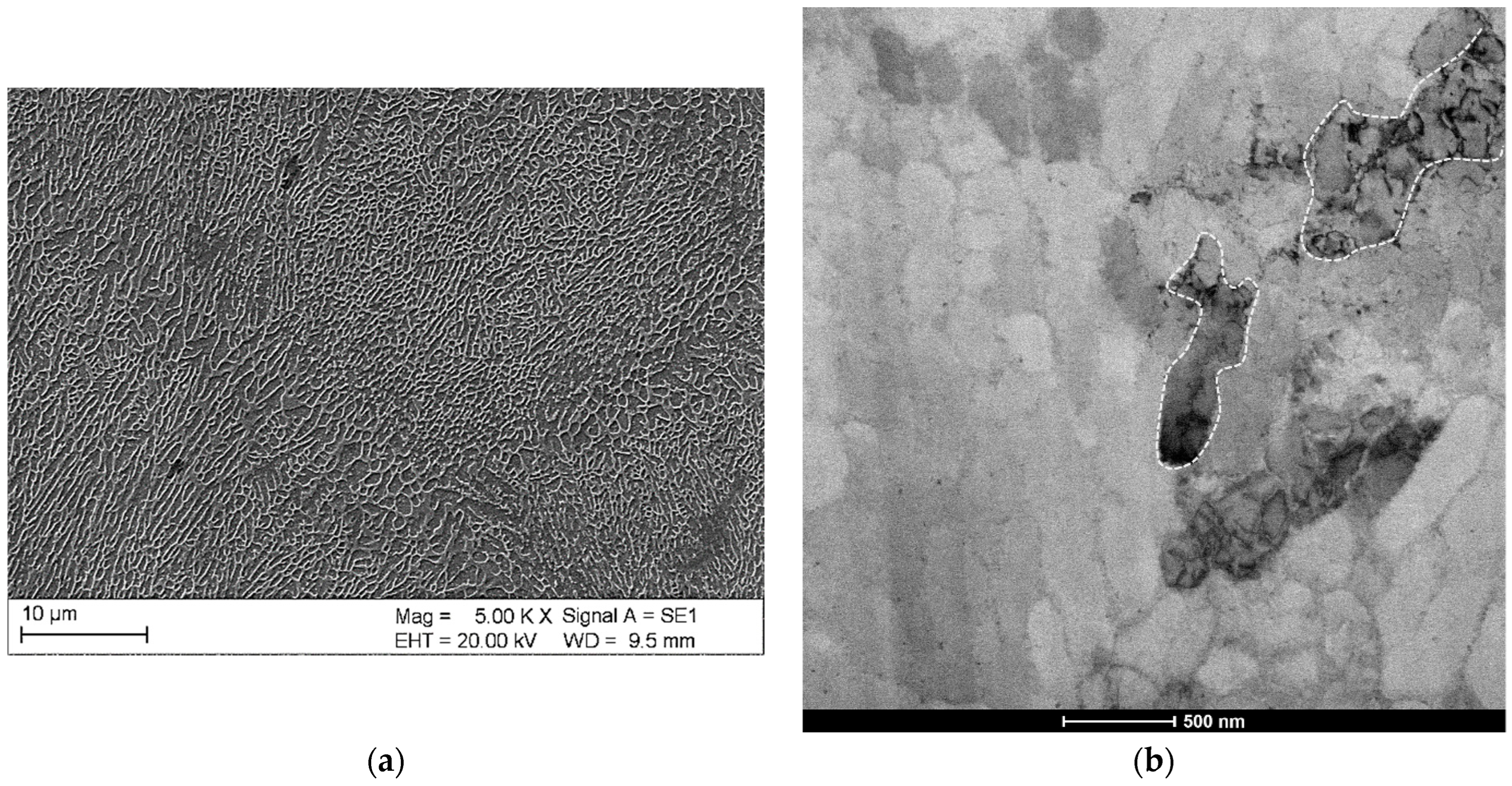 Symmetry 16 01158 g002