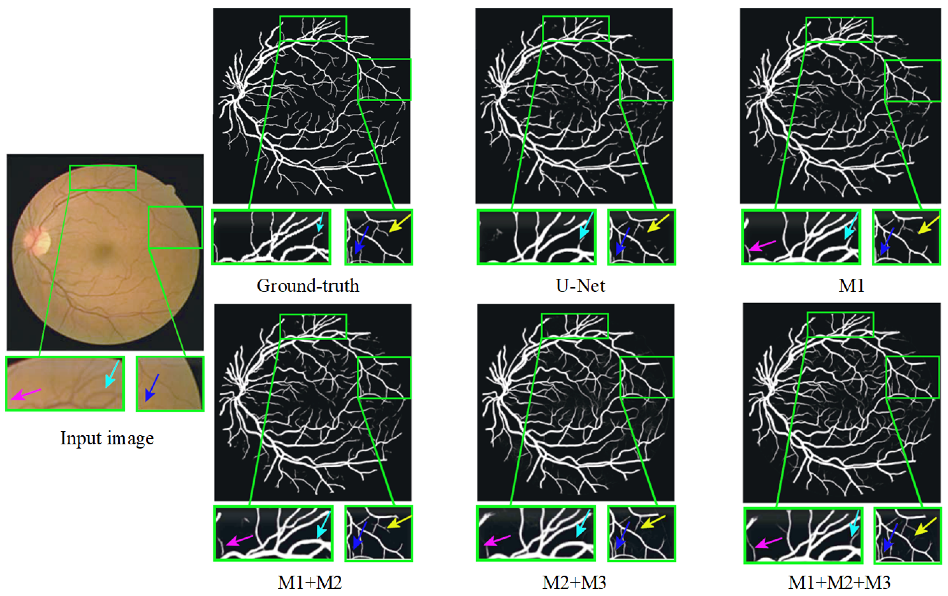 Symmetry 16 01189 g012