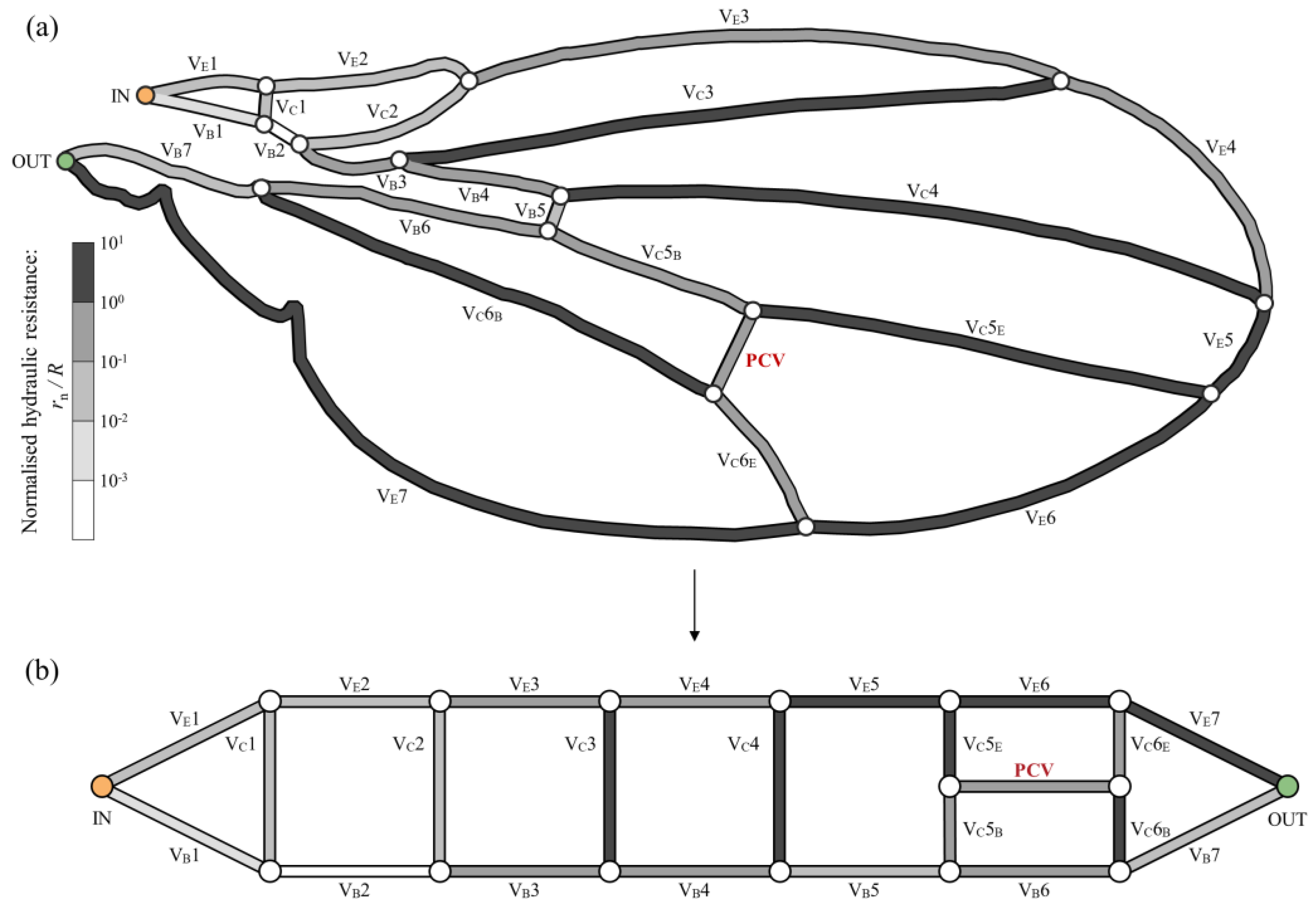 Symmetry 16 01212 g001