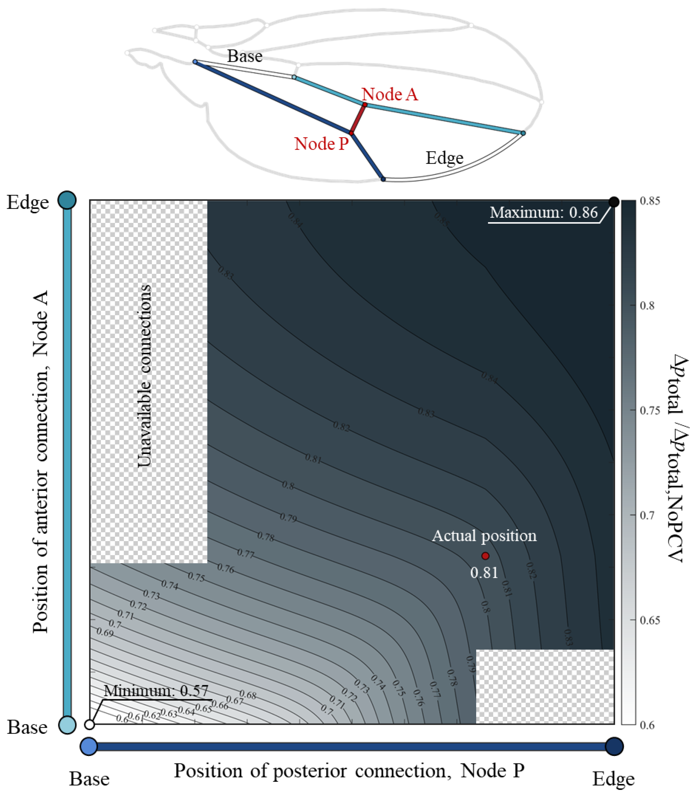 Symmetry 16 01212 g003
