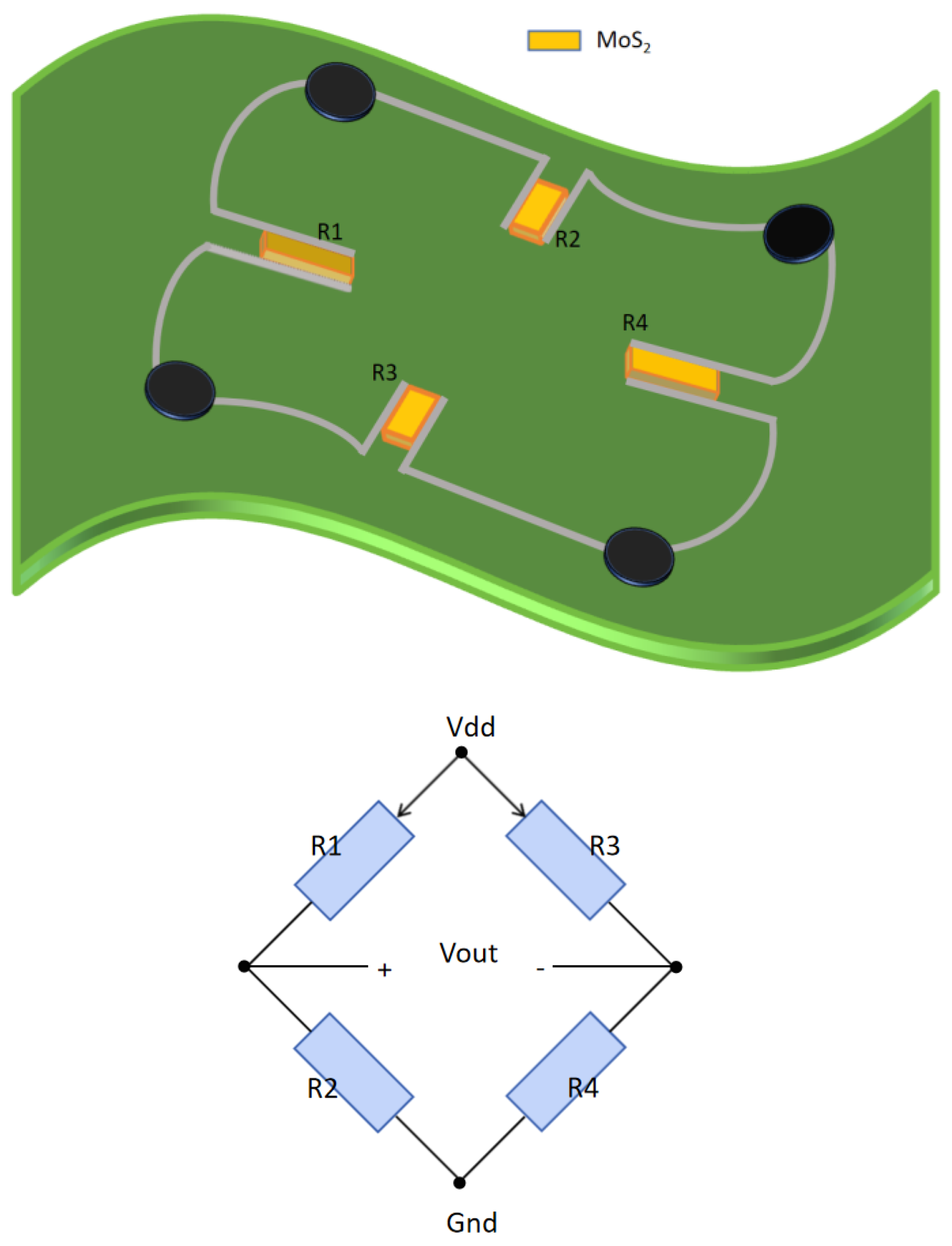 Symmetry 16 01242 g003