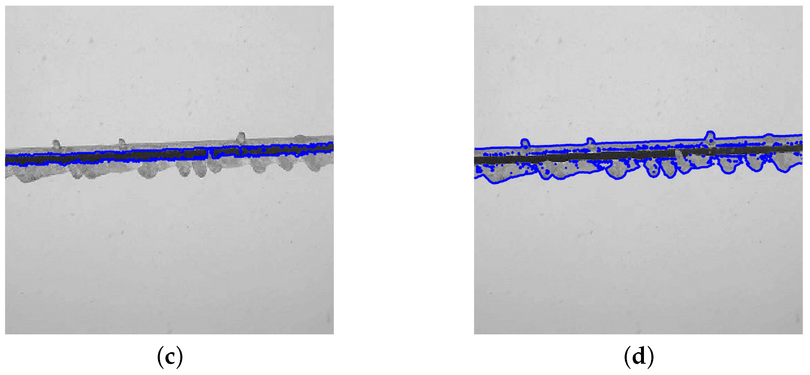 Symmetry 16 01264 g011b
