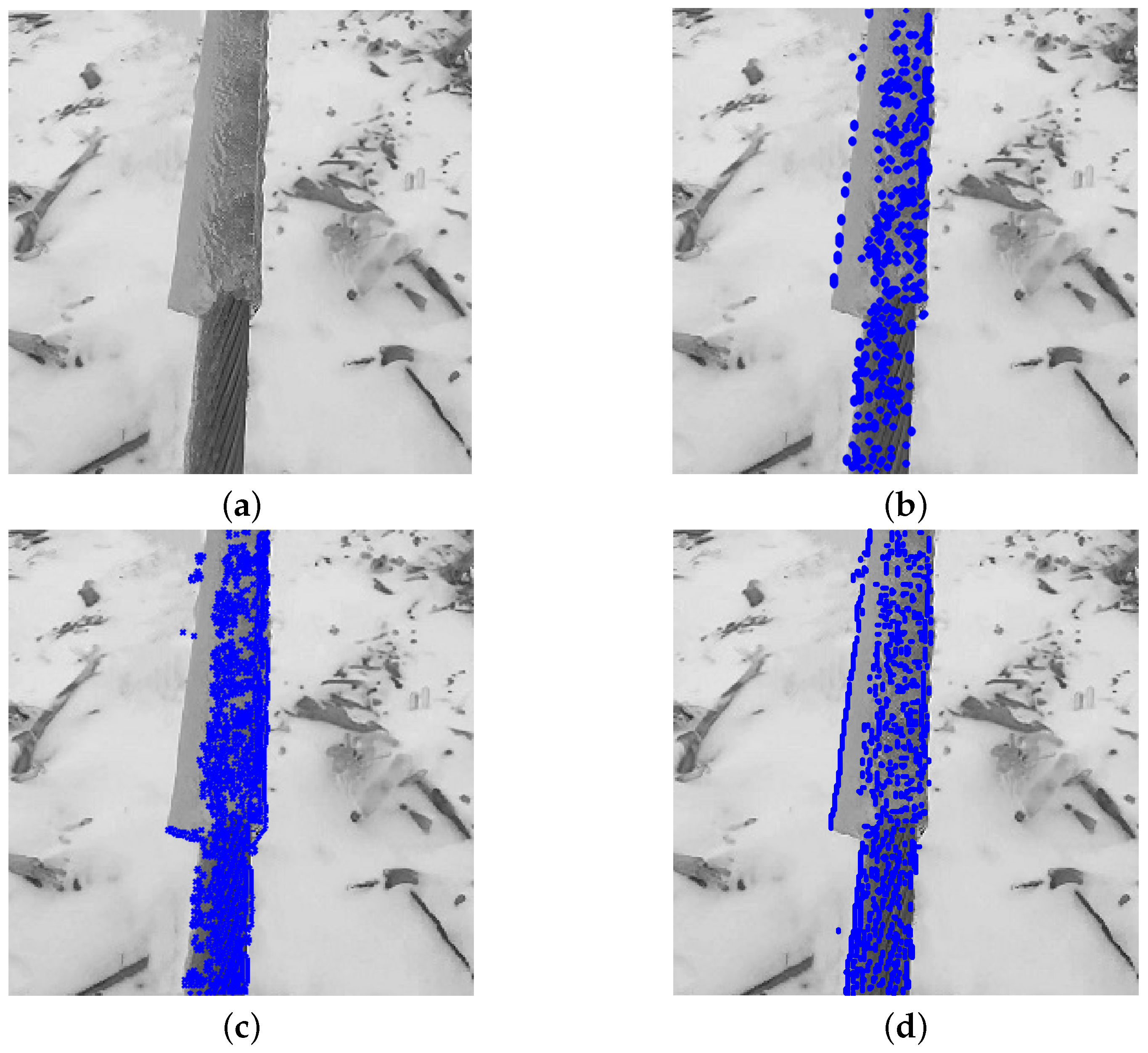 Symmetry 16 01264 g012